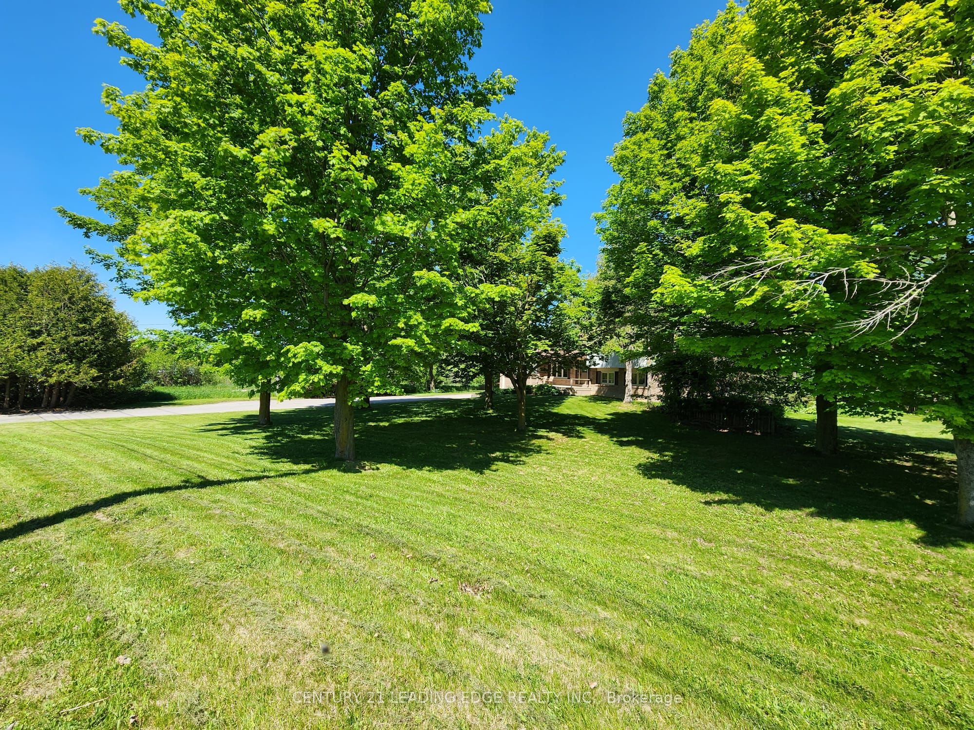 254 Hwy 47 Property Photo 39