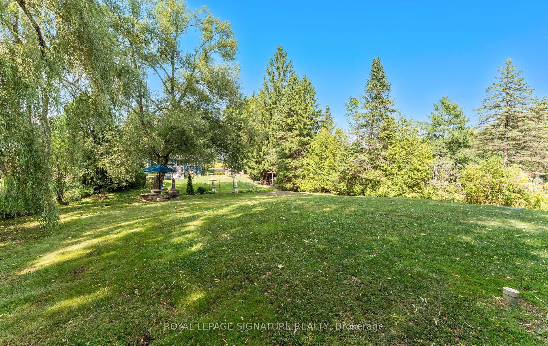 17 Mustard Street Property Photo 43