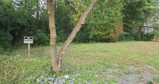 0 Fergus Avenue Property Photo 2
