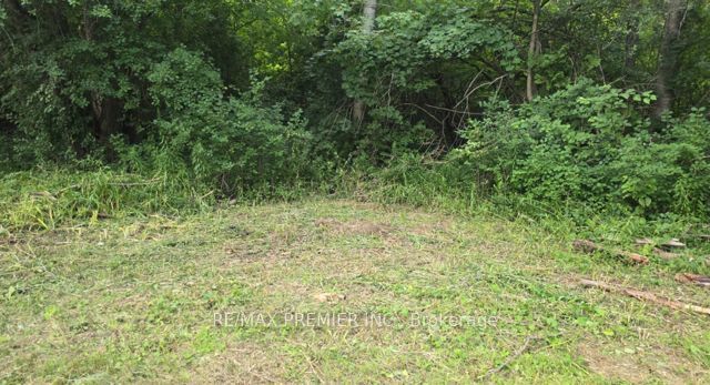 0 Fergus Avenue Property Photo 12