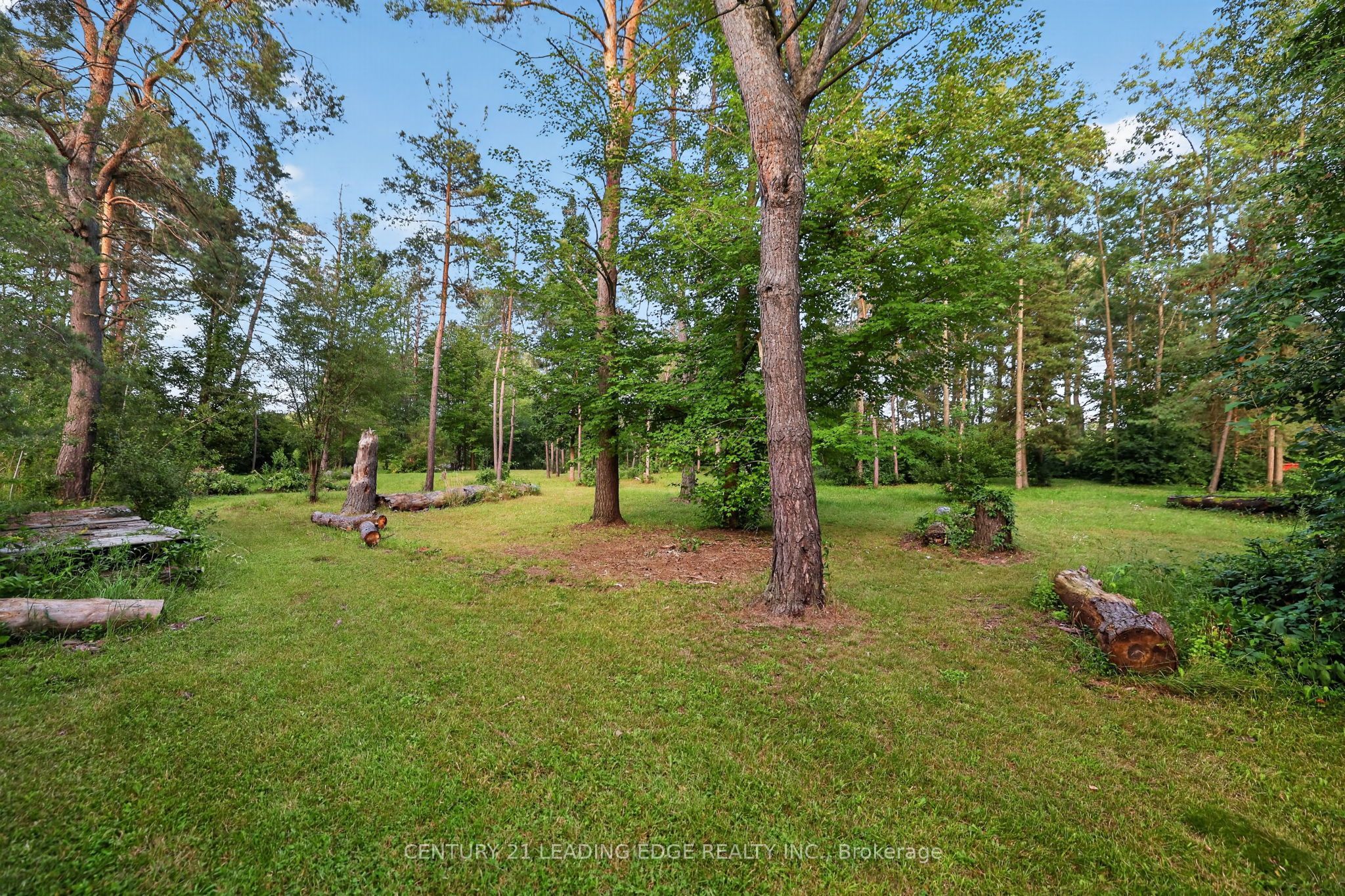 23233 Miles Road Property Photo 45