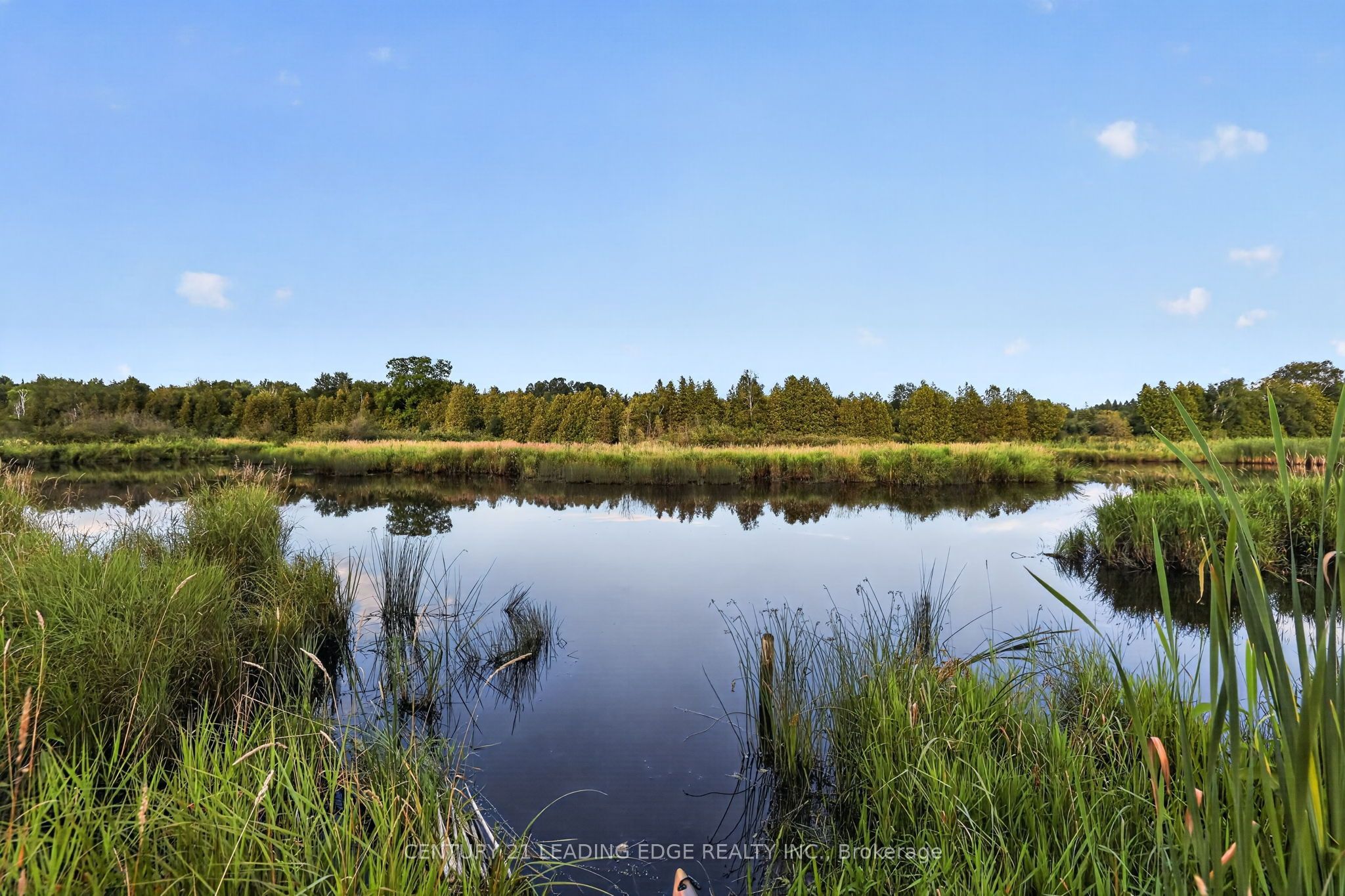 23233 Miles Road Property Photo 46