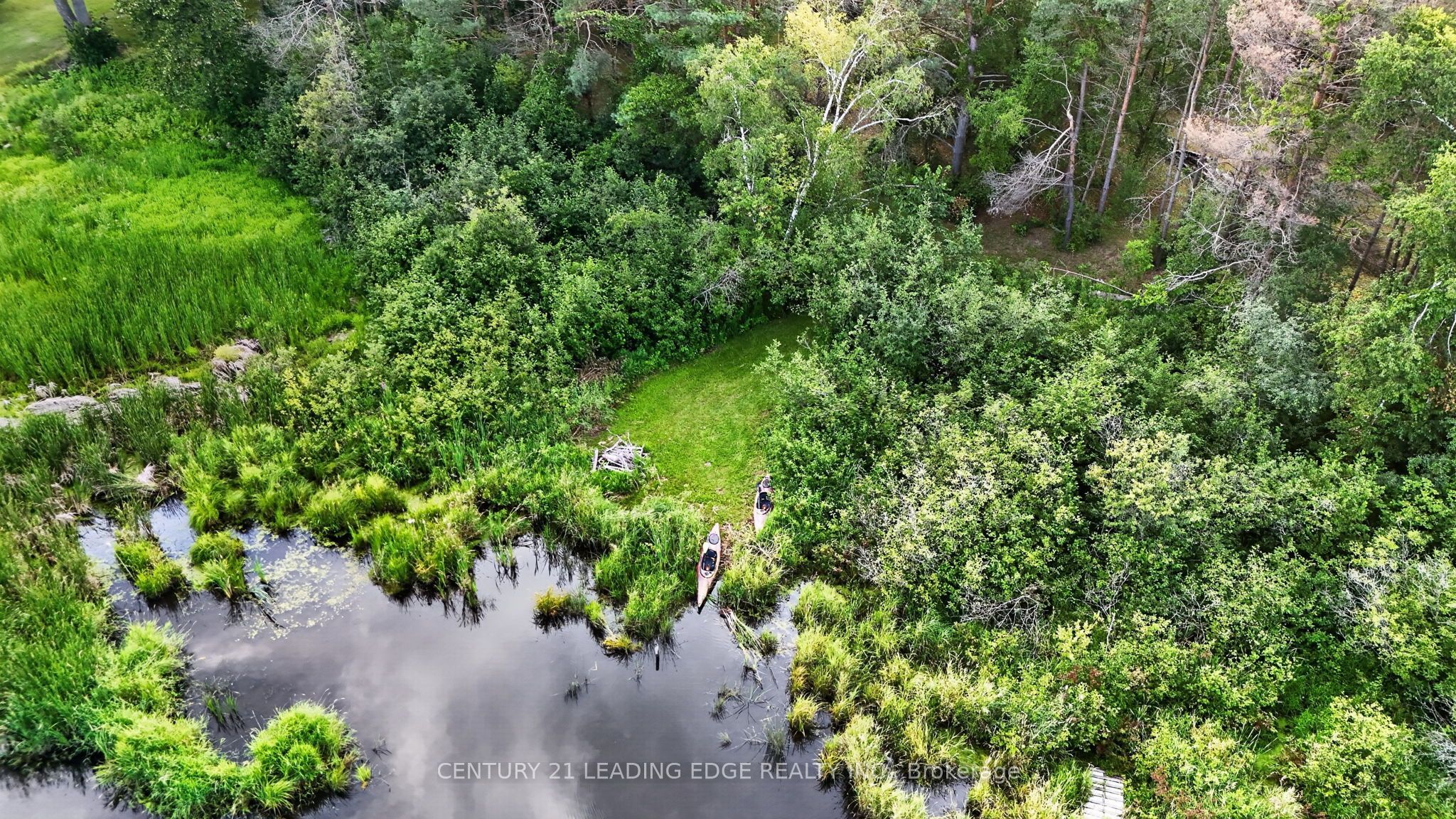 23233 Miles Road Property Photo 47