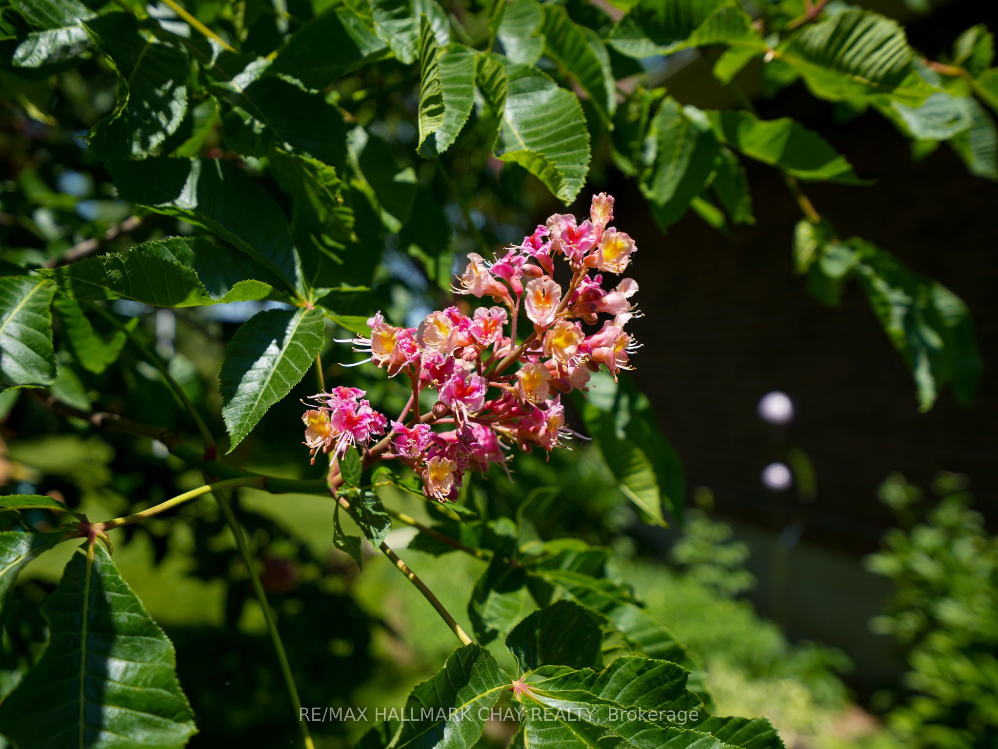 6815 4th Line Property Photo 42
