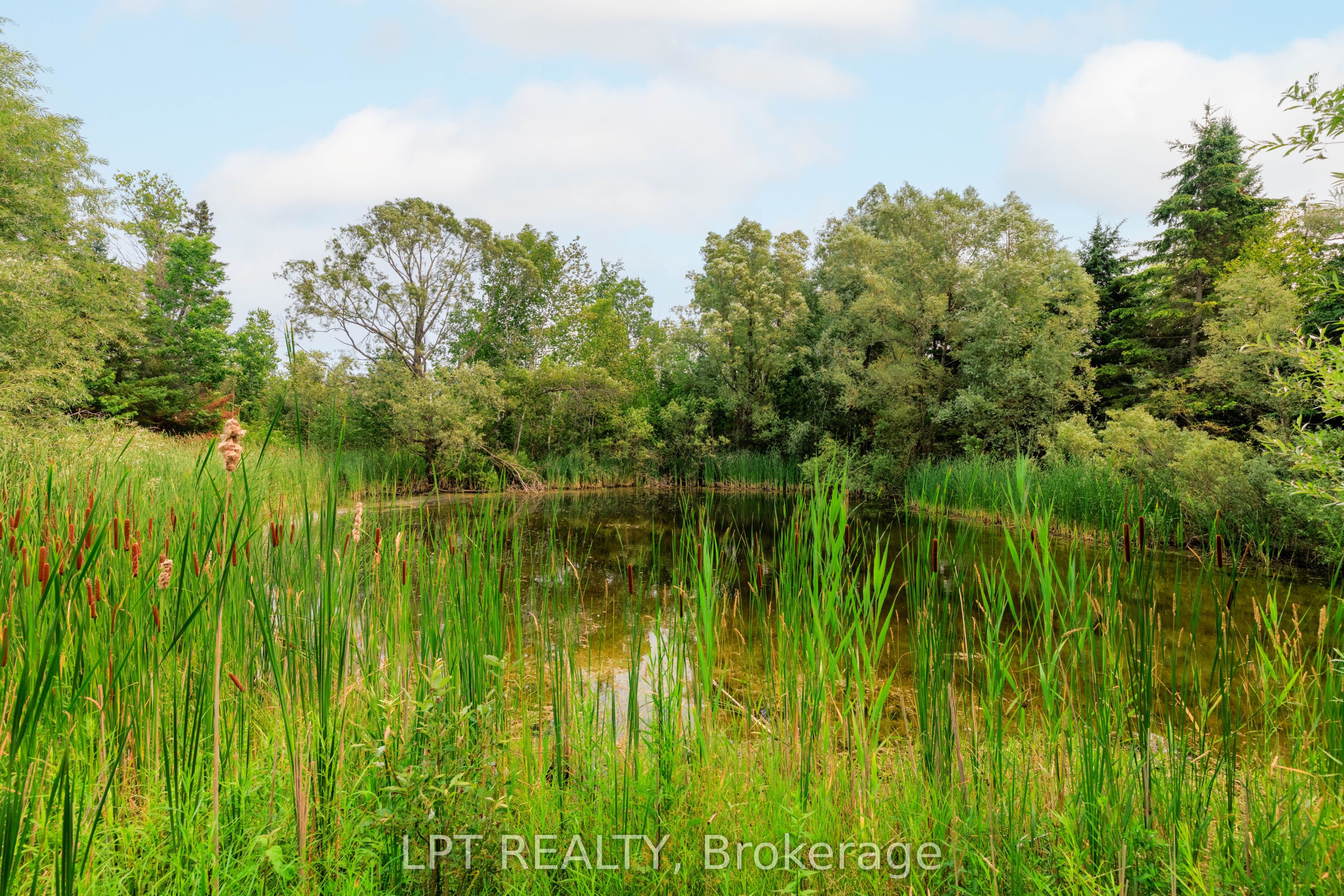 23983 Weirs Side Road Property Photo 9