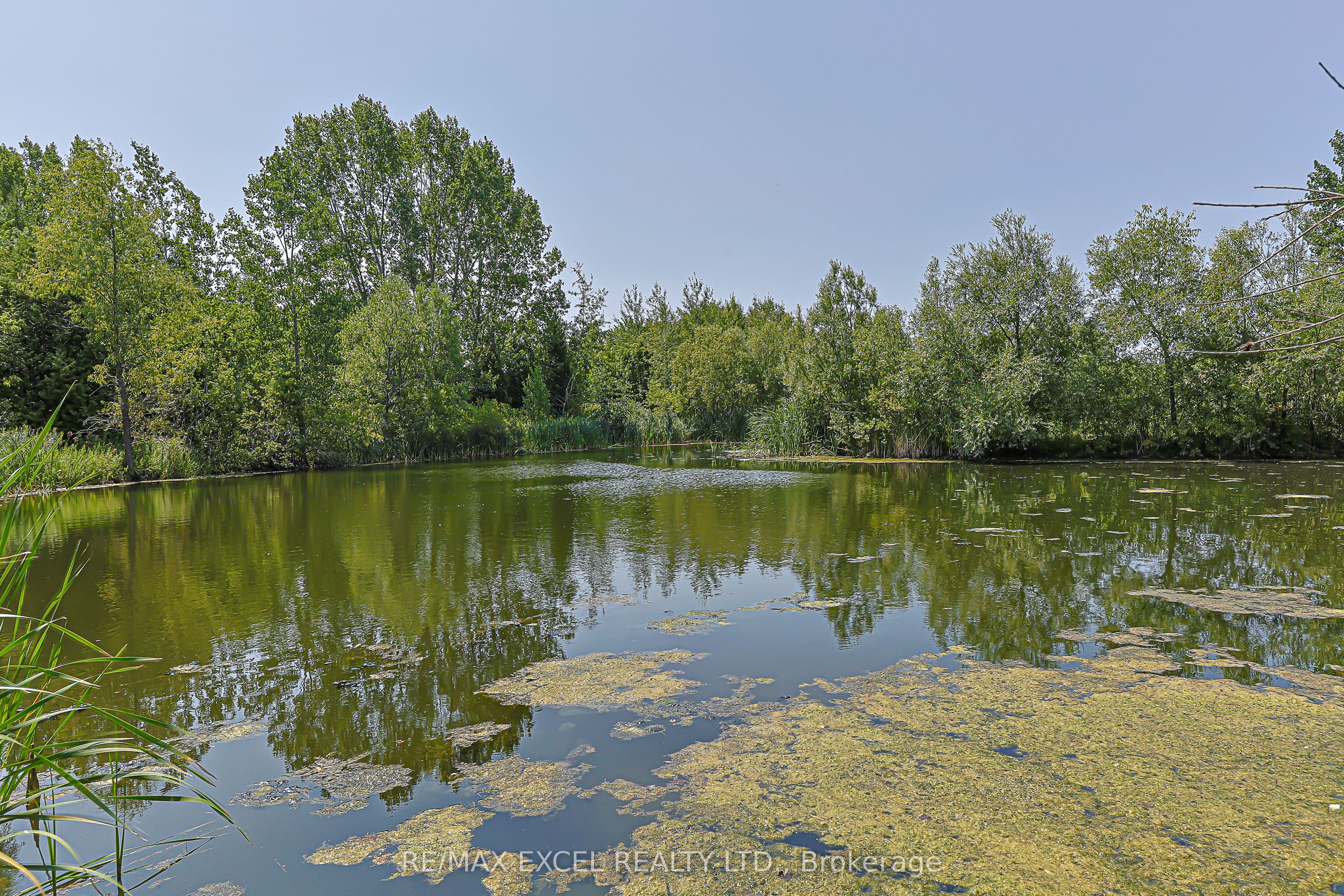 173 Selwyn Road Property Photo 26
