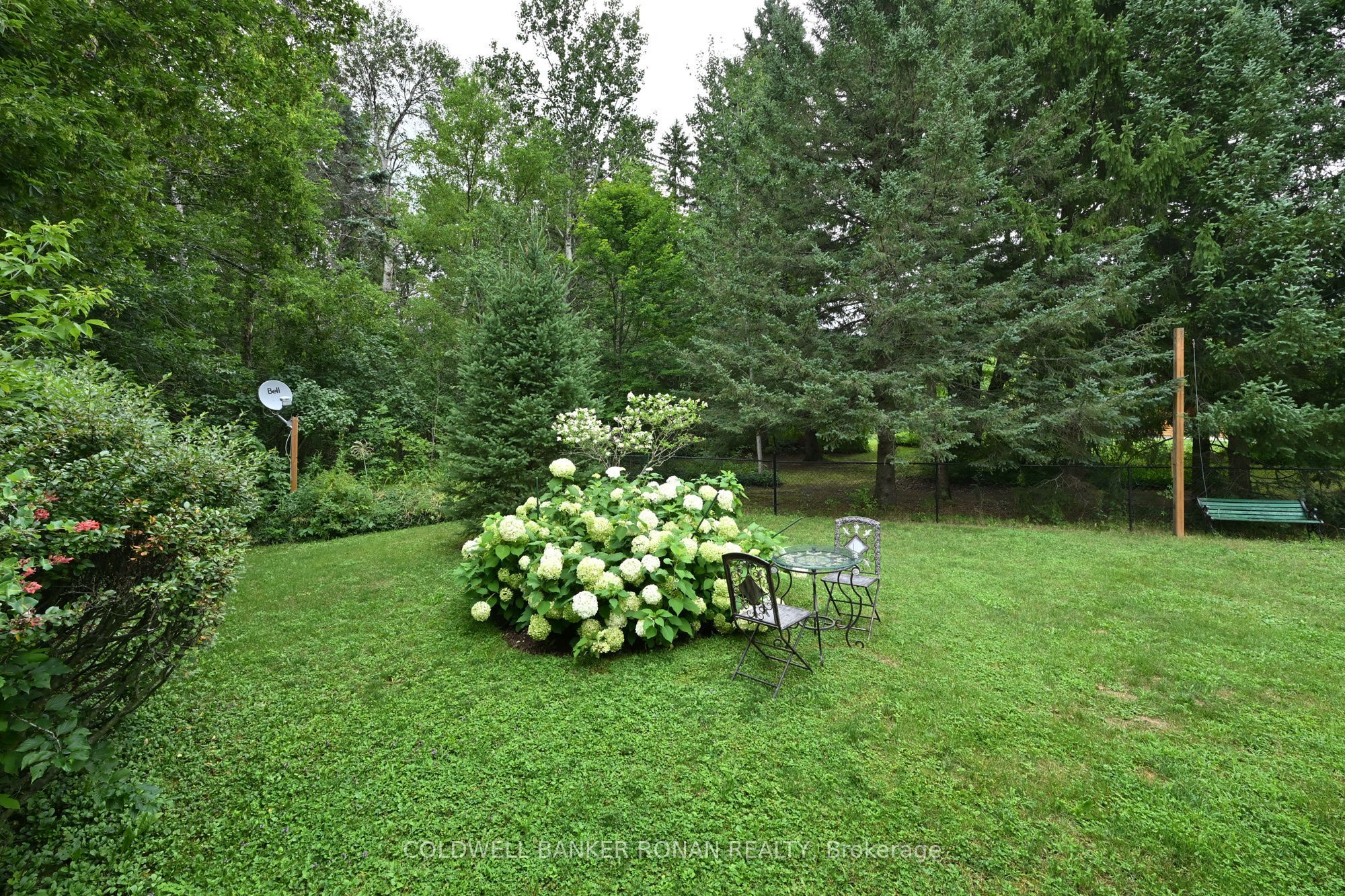 7975 County Road 13 Property Photo 29