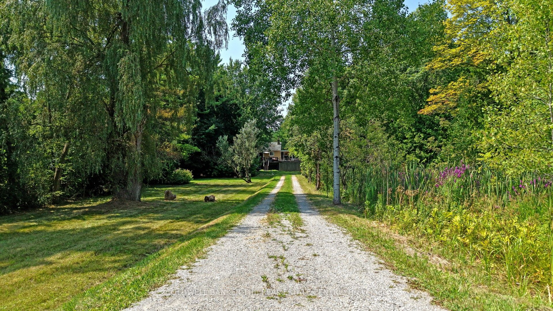 15600 Weston Road Property Photo 3
