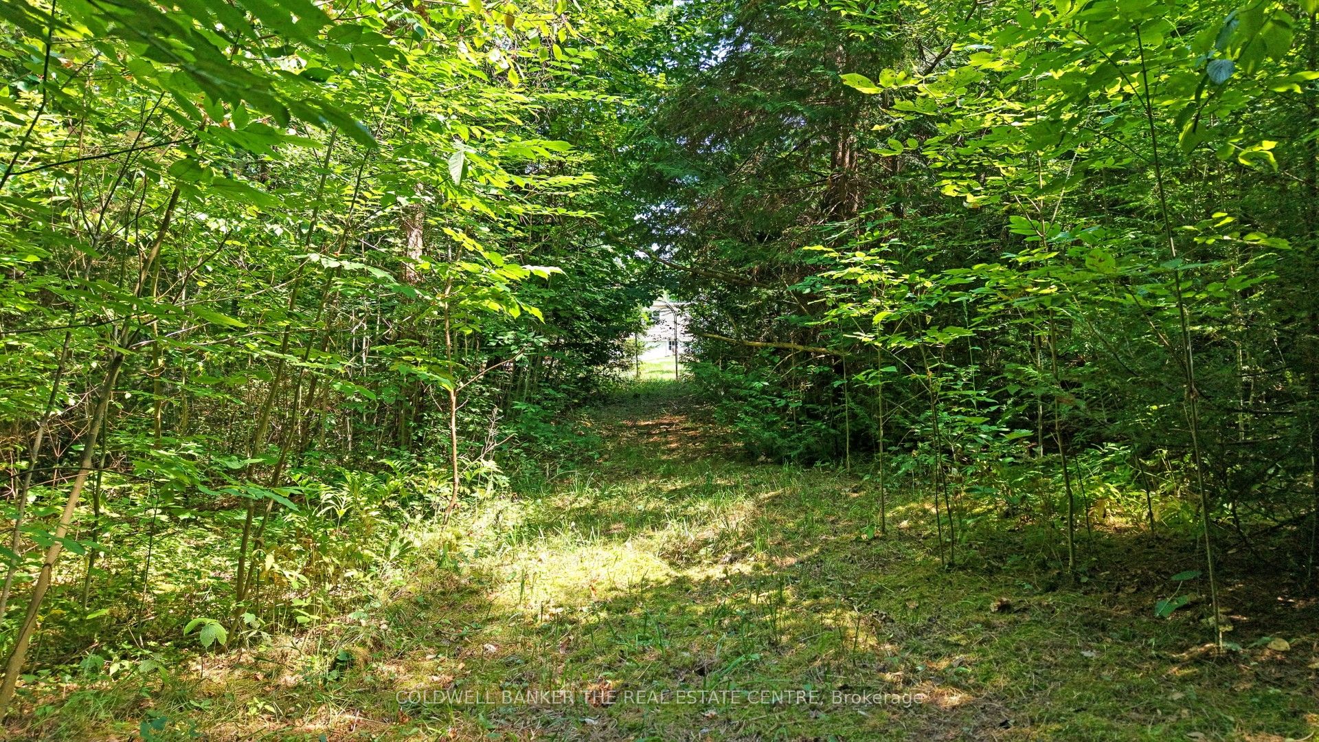 15600 Weston Road Property Photo 11