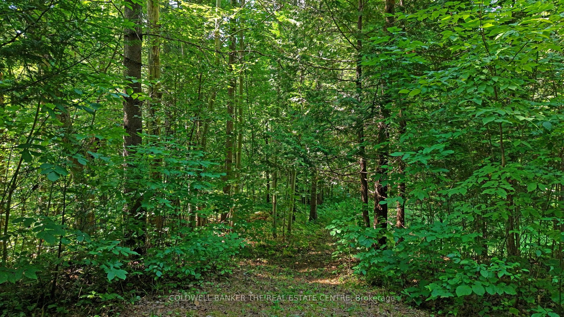15600 Weston Road Property Photo 12