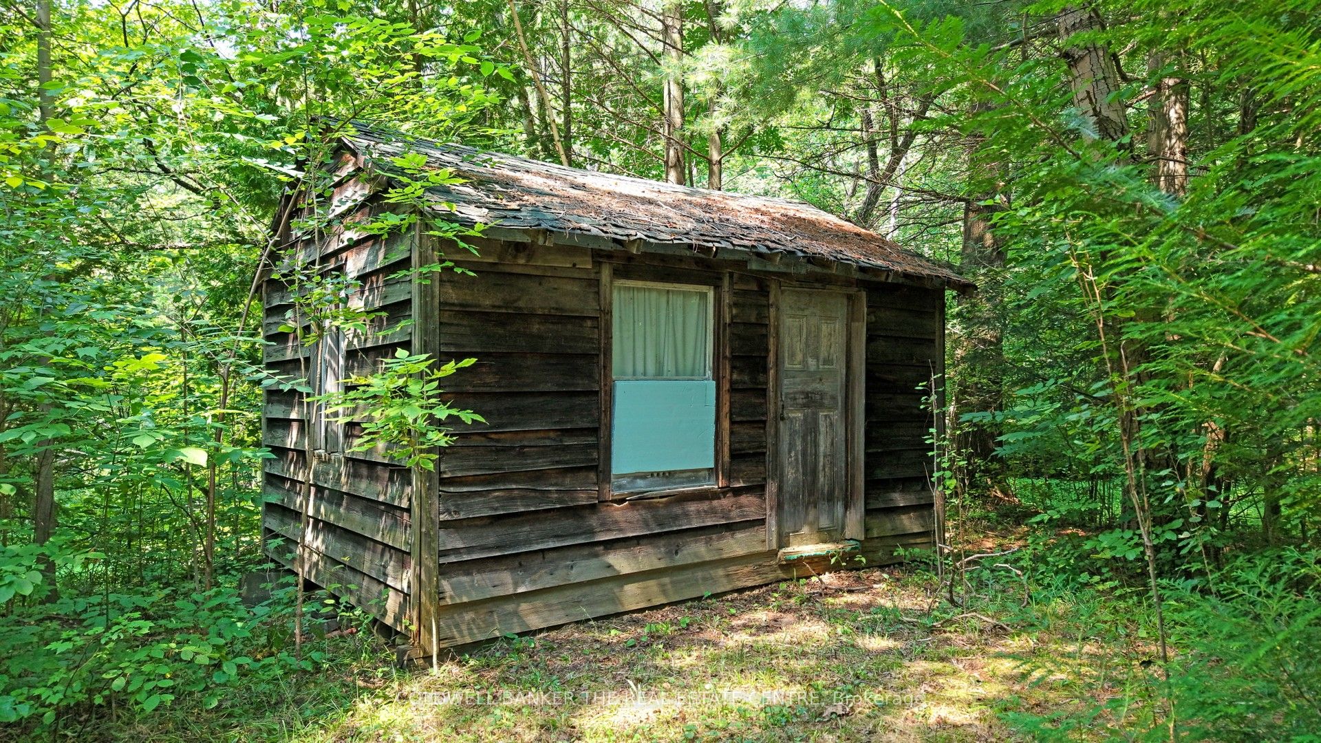 15600 Weston Road Property Photo 14