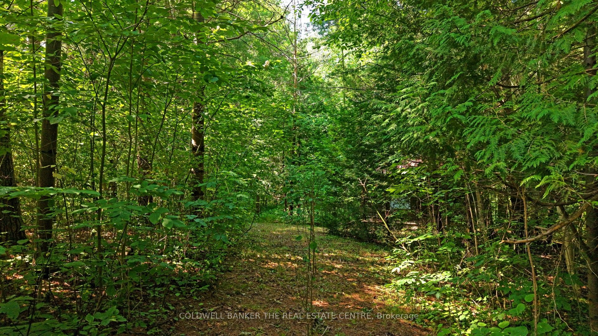 15600 Weston Road Property Photo 16