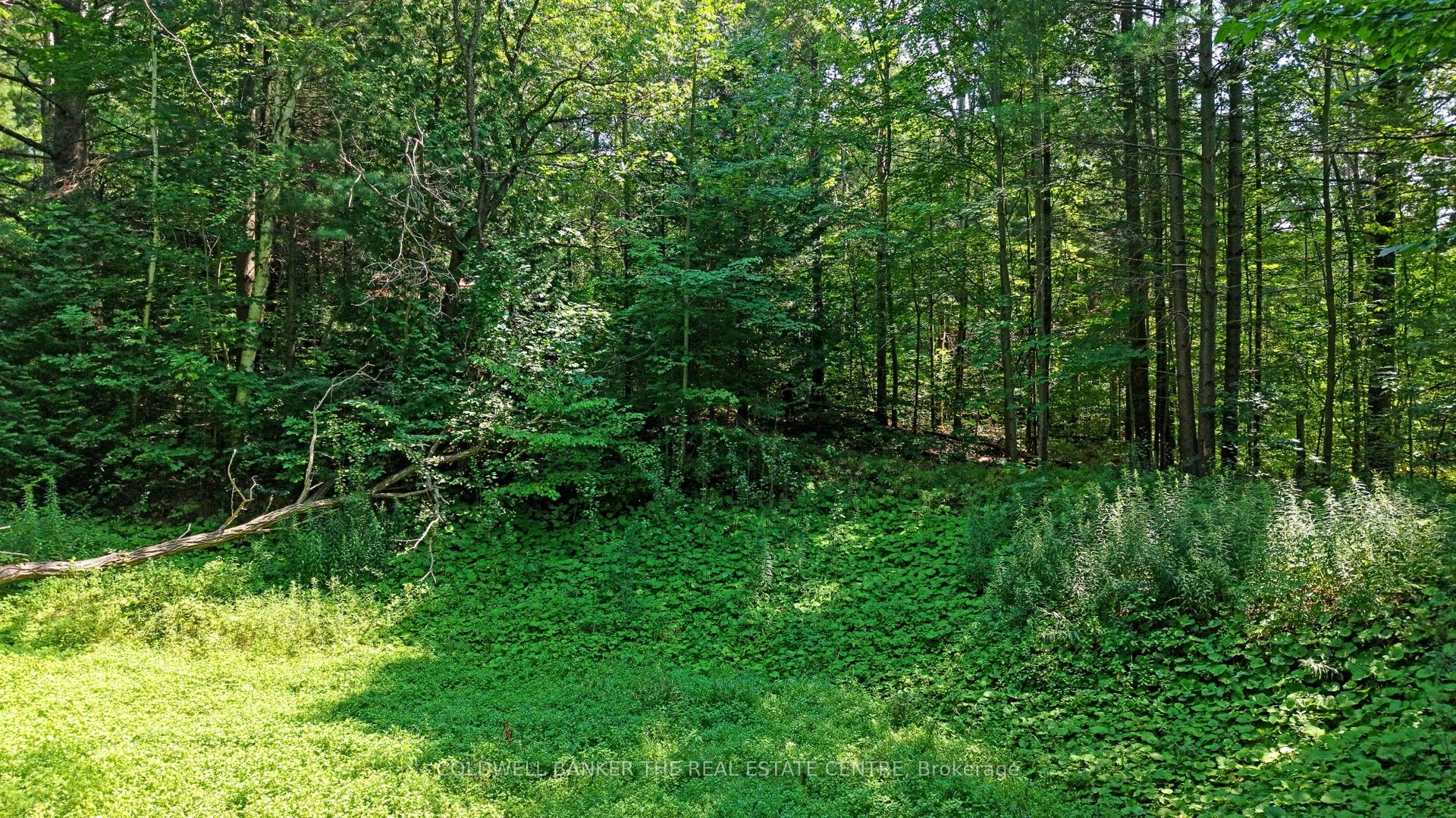 15600 Weston Road Property Photo 17