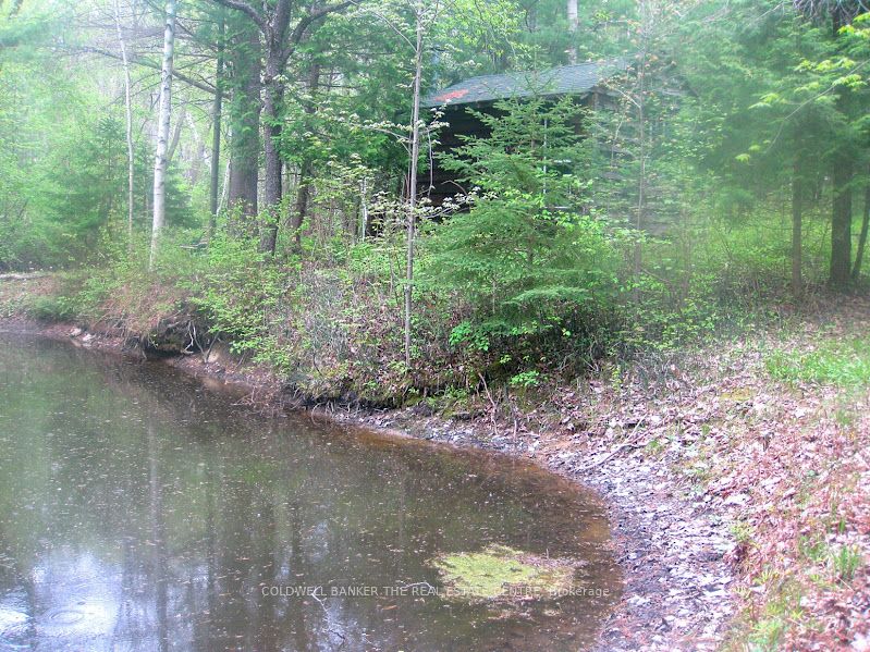15600 Weston Road Property Photo 24