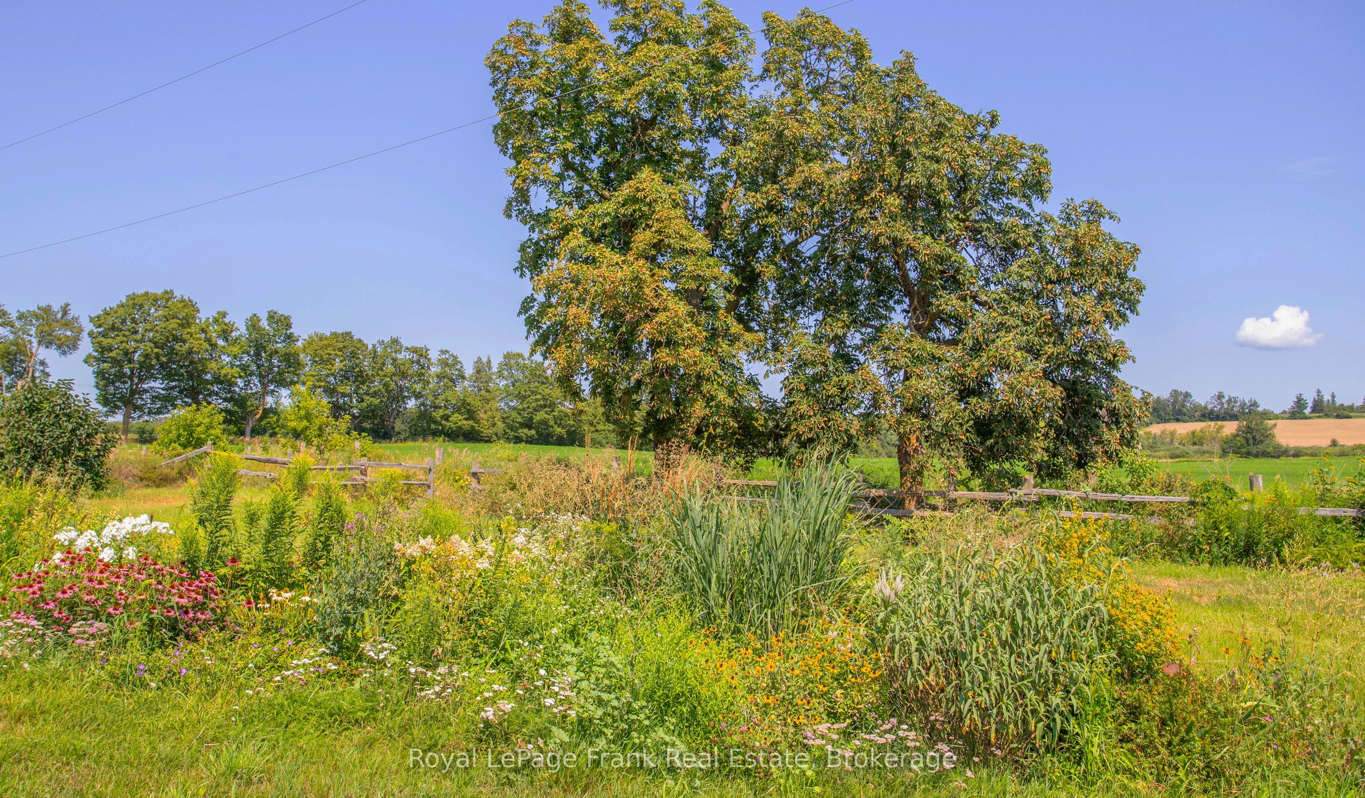 1450 Brock Concession 4 Road Property Photo 46