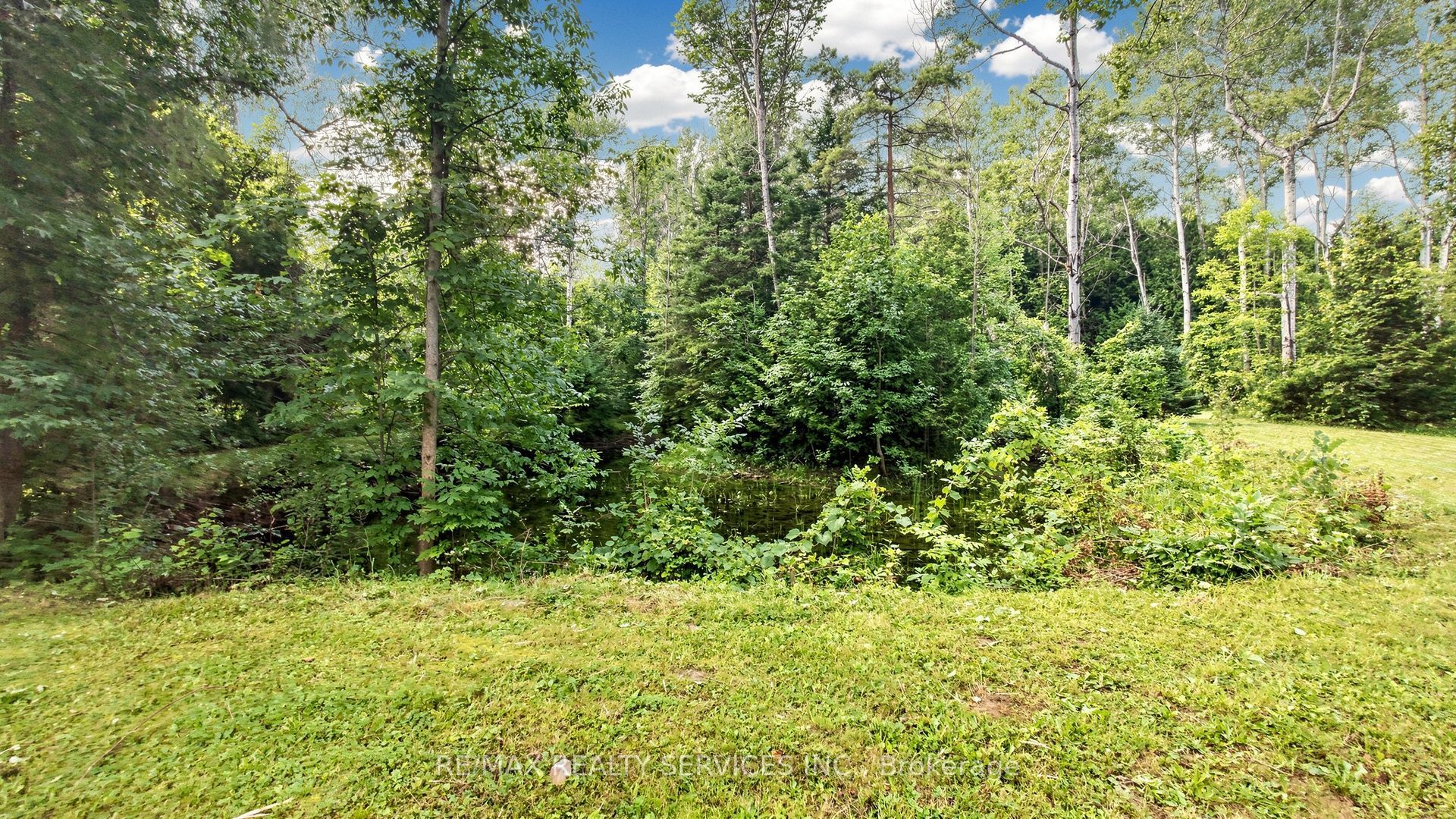 9225 County 1 Road Property Photo 37