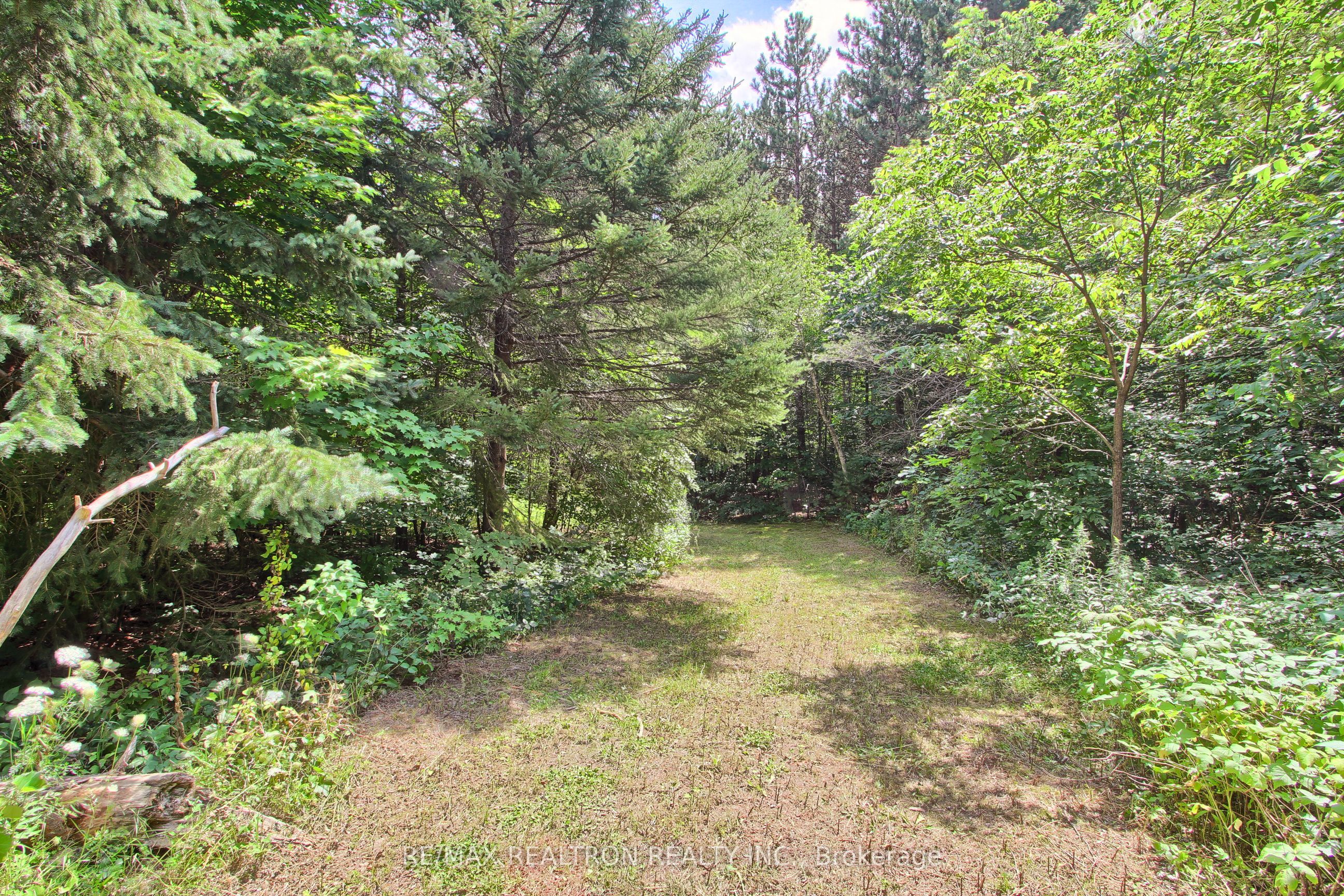 3433 Mount Albert Road Property Photo 44