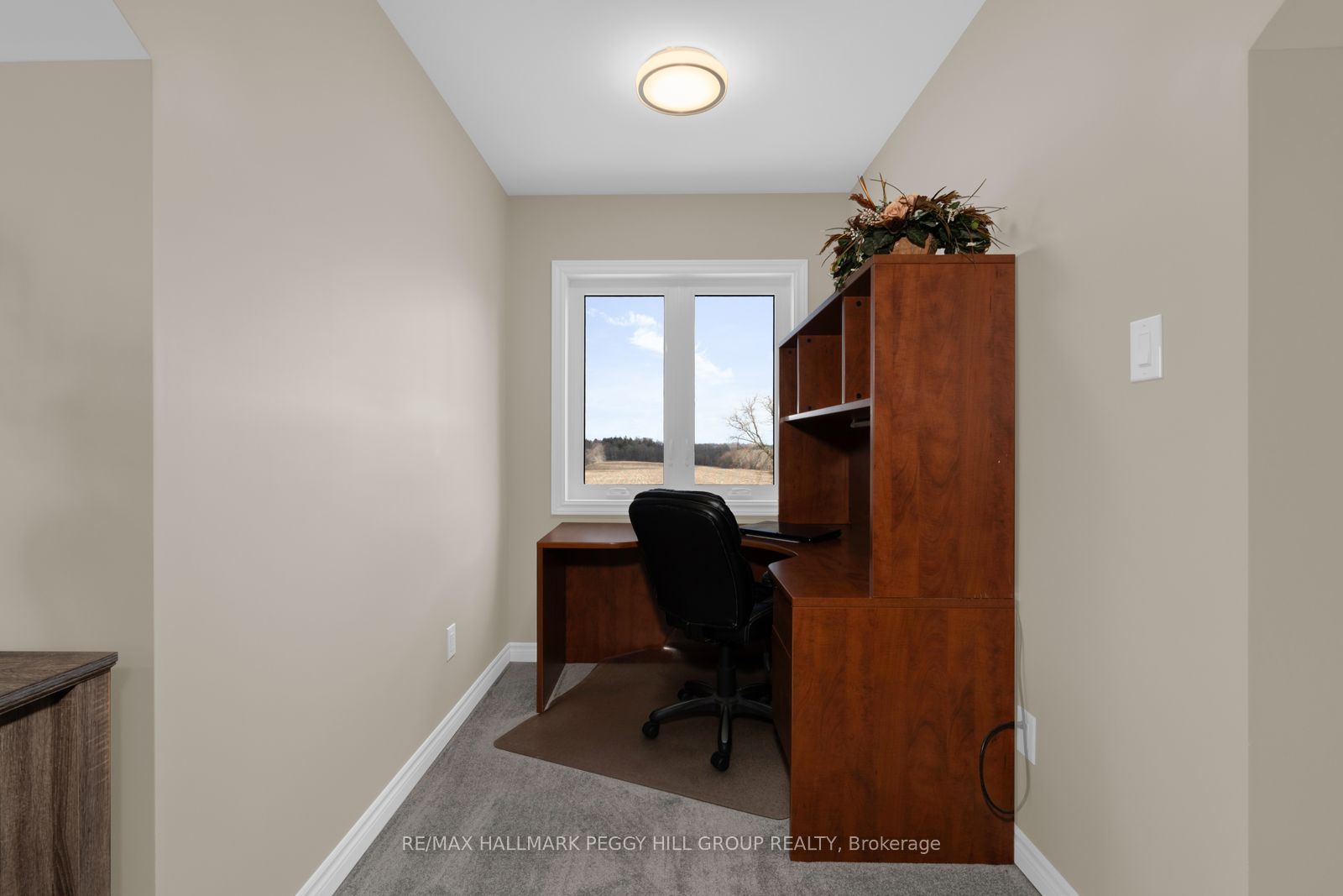 9157 30th Side Road Property Photo 21