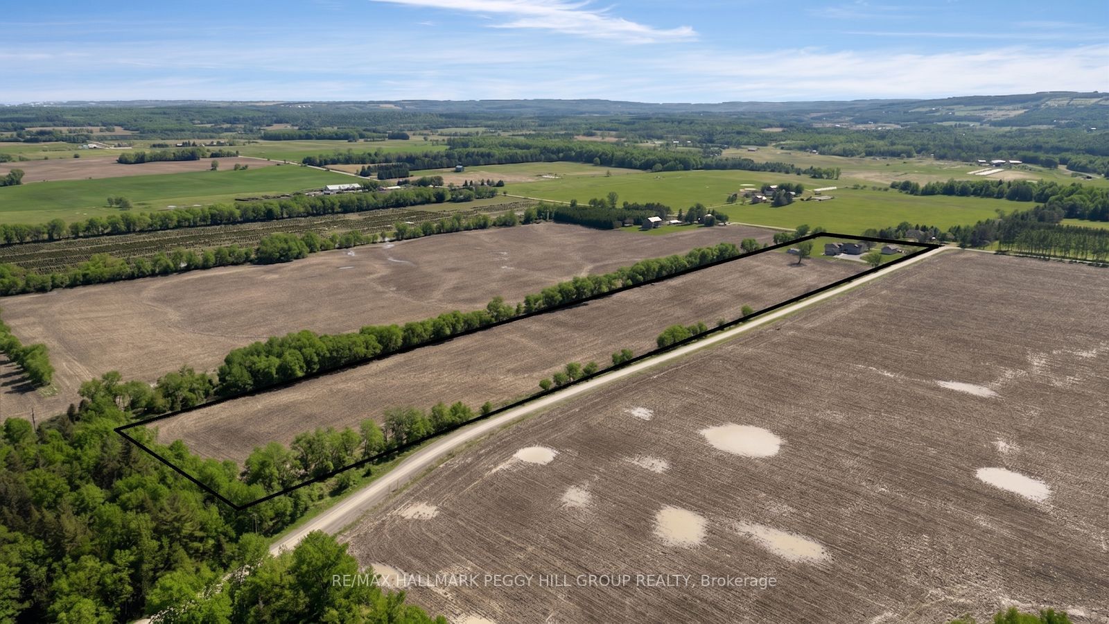 9157 30th Side Road Property Photo 31