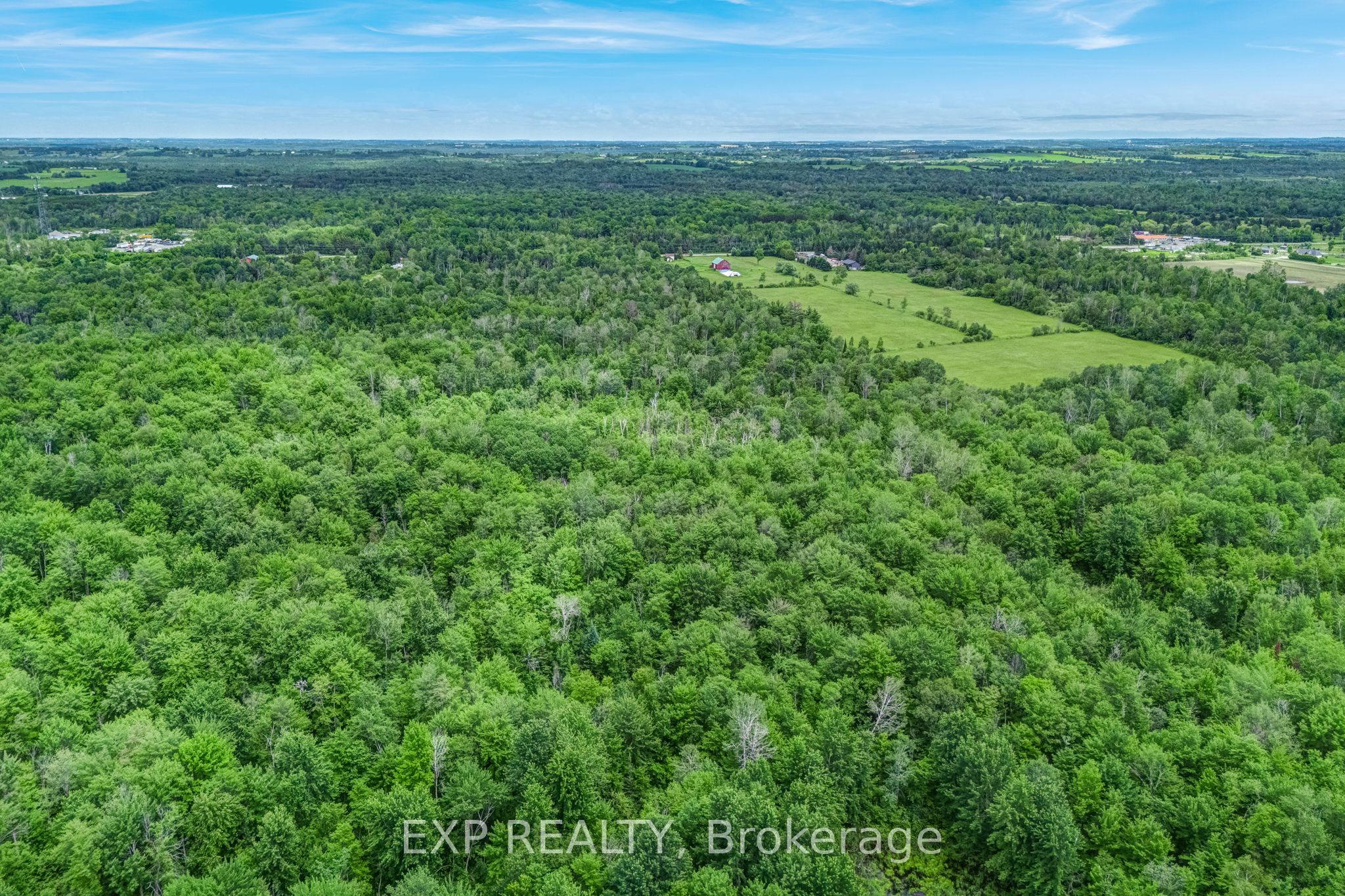 22262 Highway 48 Property Photo 6