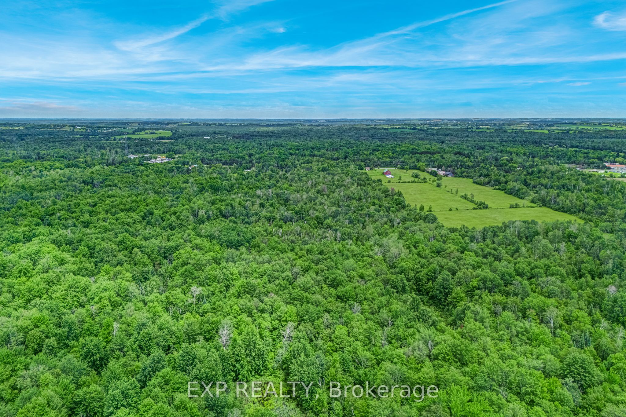 22262 Highway 48 Property Photo 7