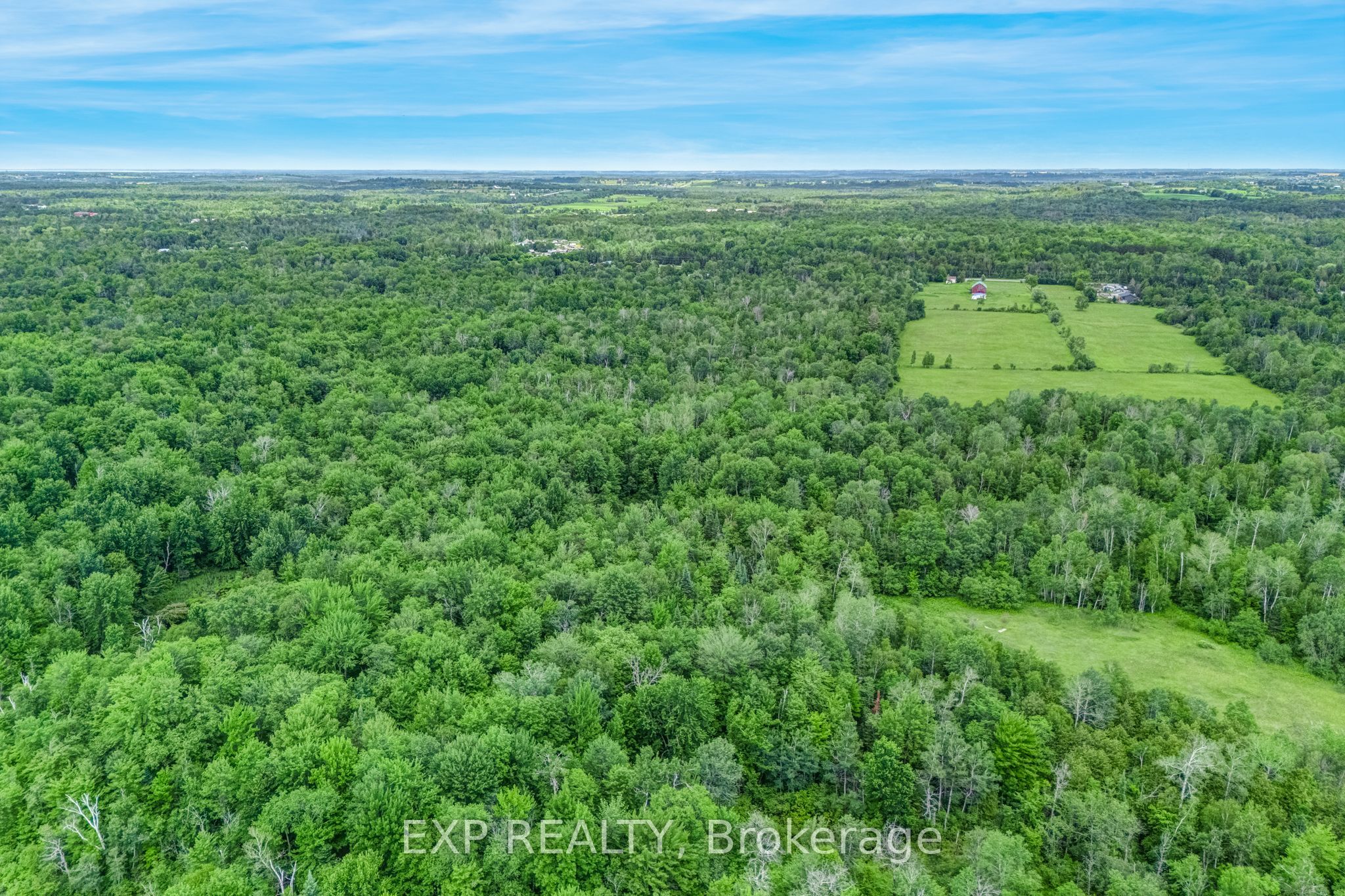 22262 Highway 48 Property Photo 8
