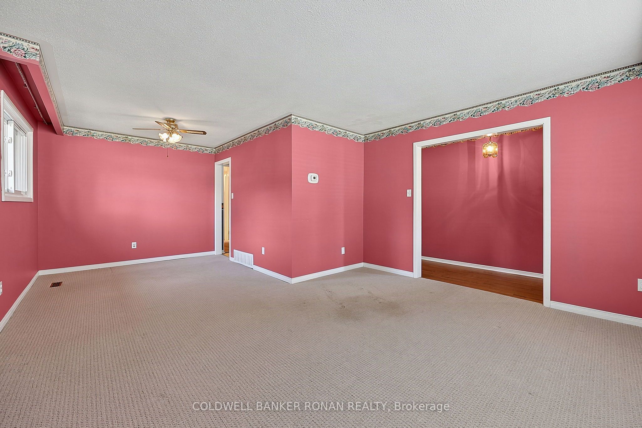 43 Alexander Street Property Photo 5