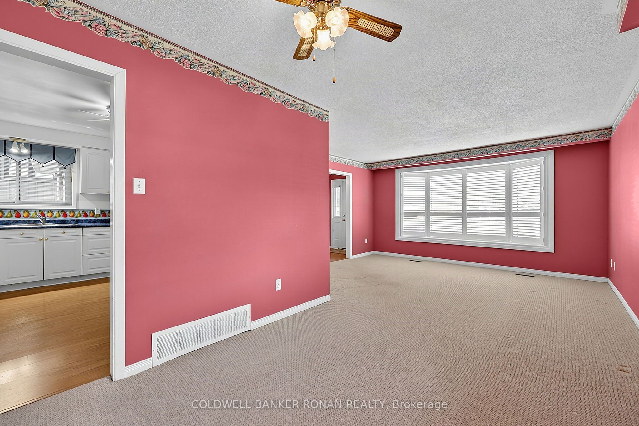 43 Alexander Street Property Photo 6