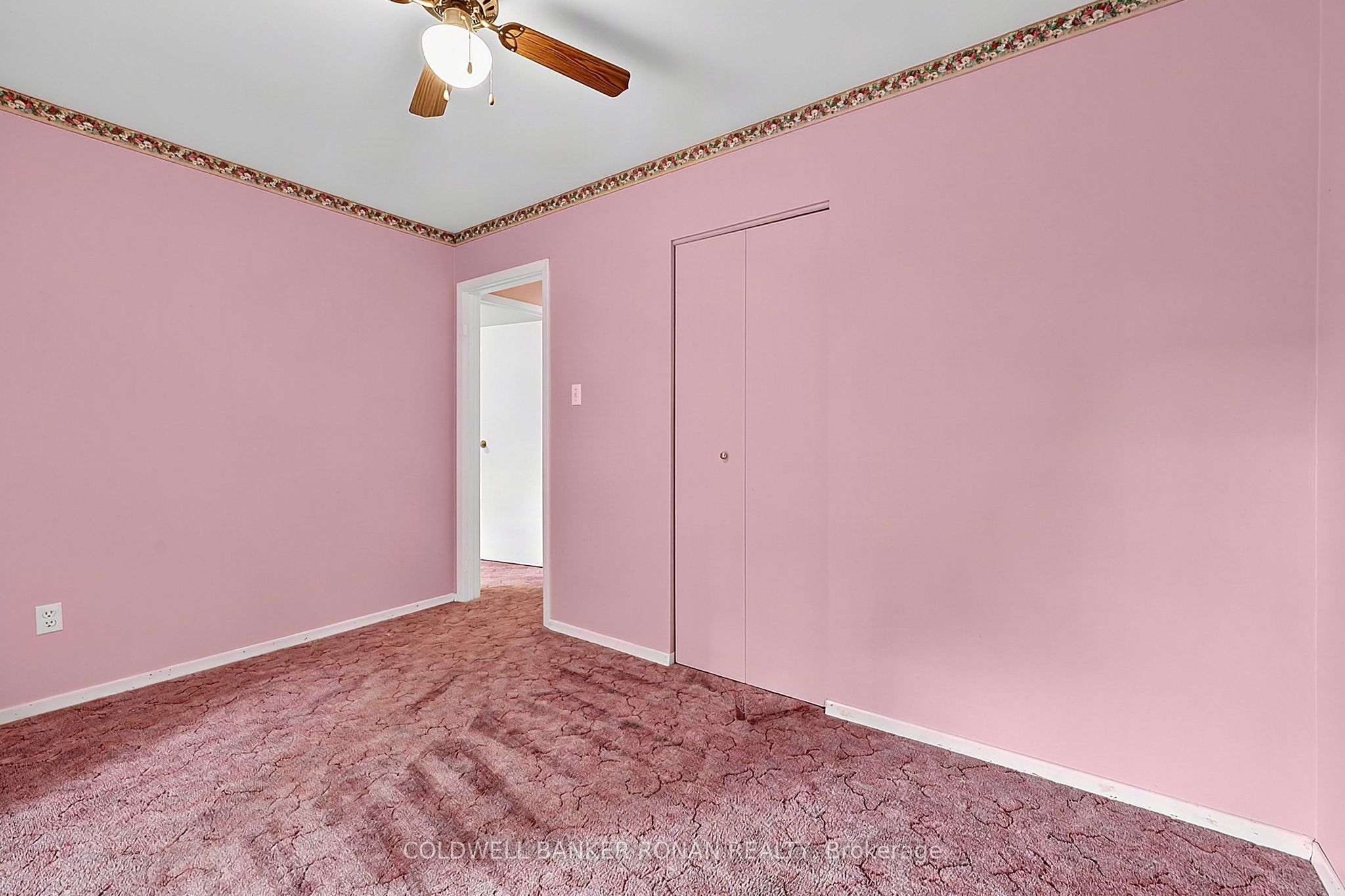 43 Alexander Street Property Photo 11