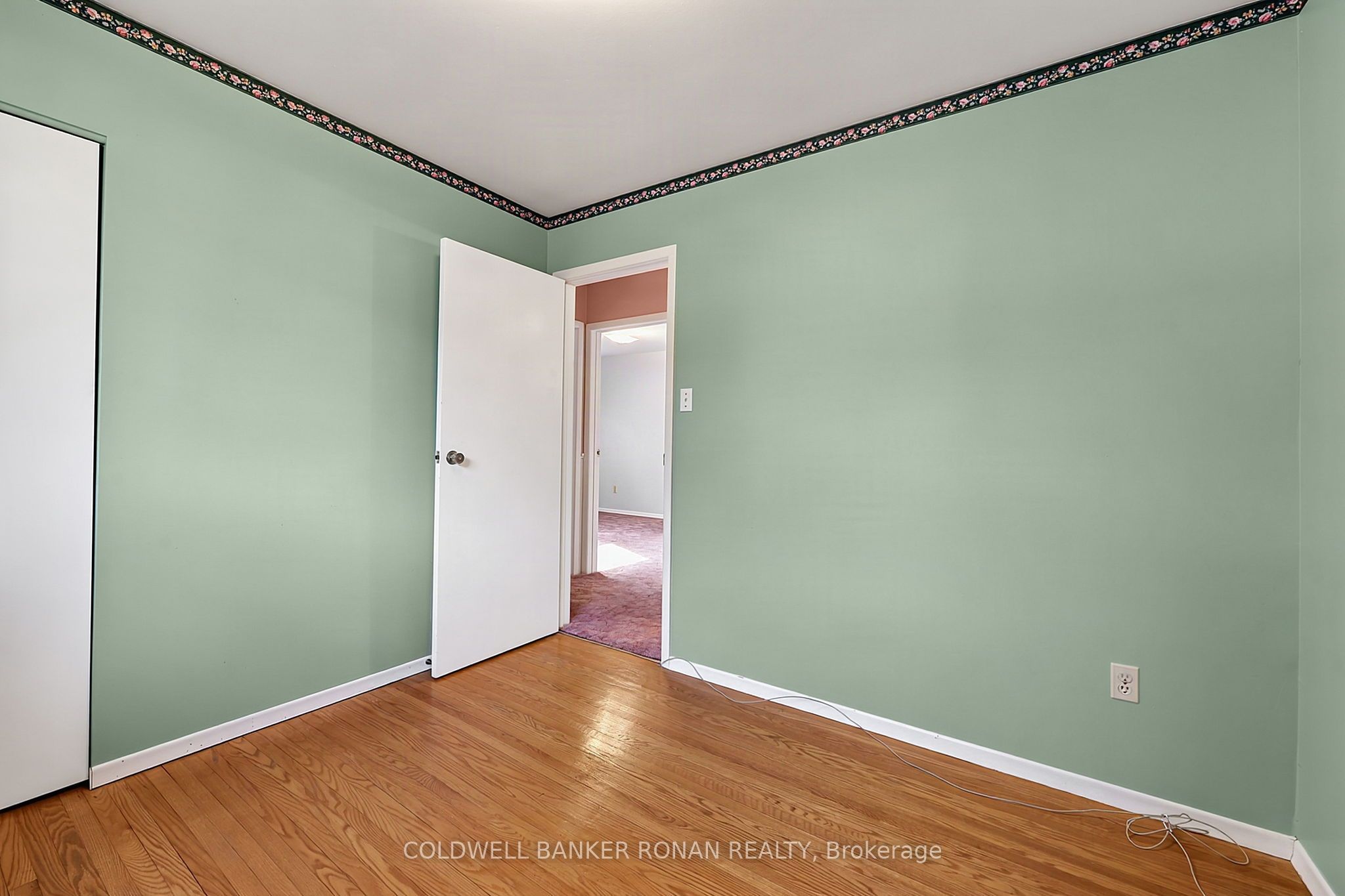 43 Alexander Street Property Photo 13