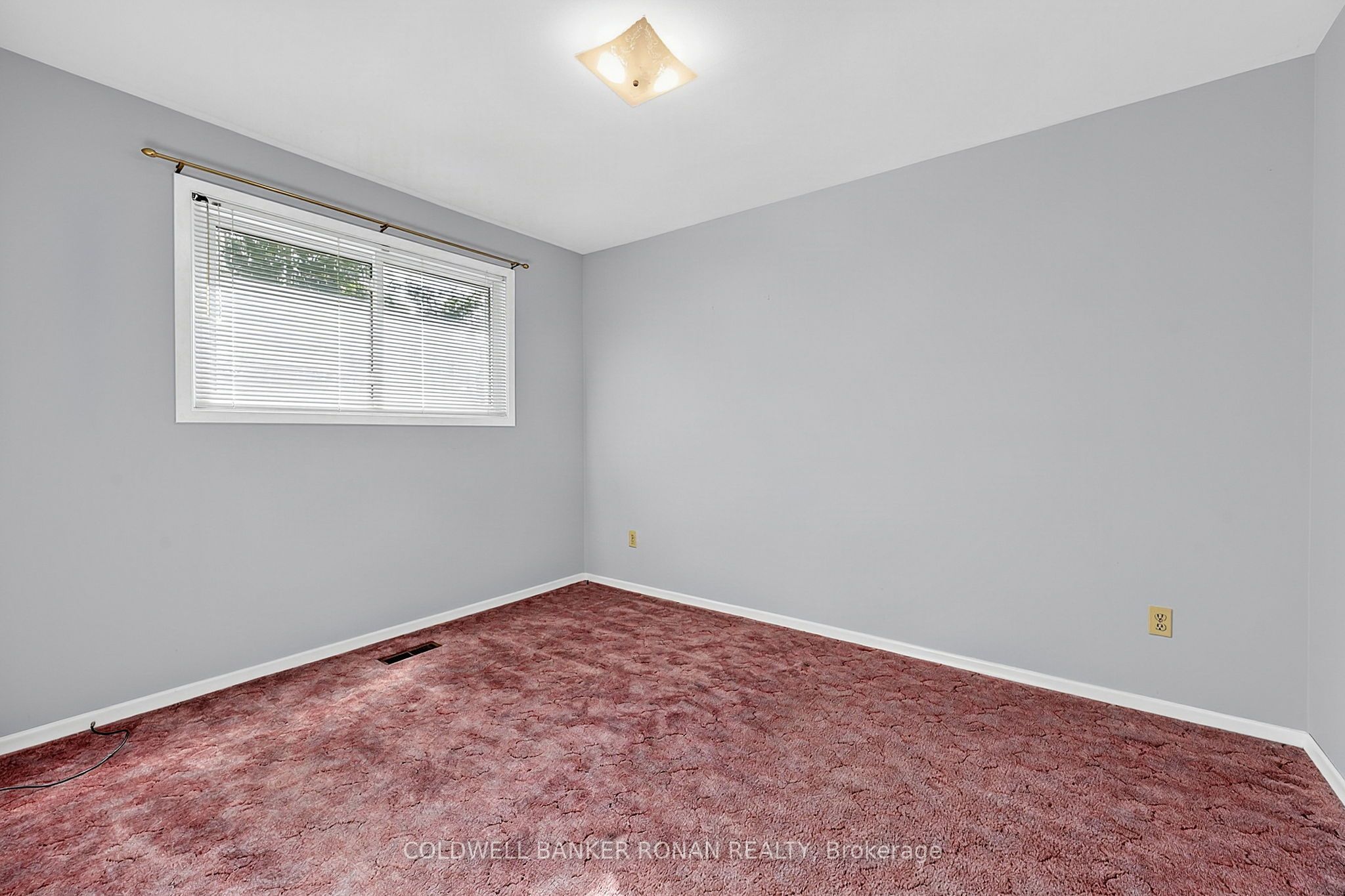 43 Alexander Street Property Photo 14