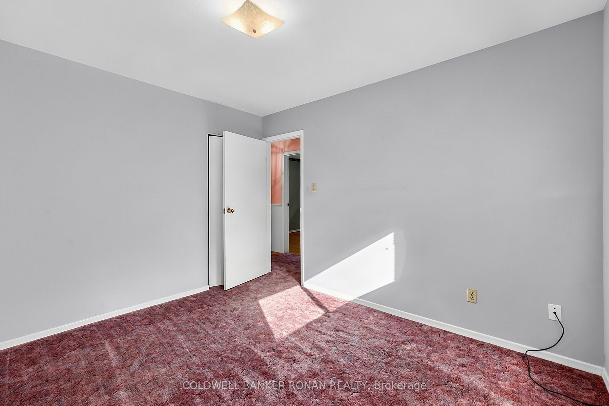 43 Alexander Street Property Photo 15