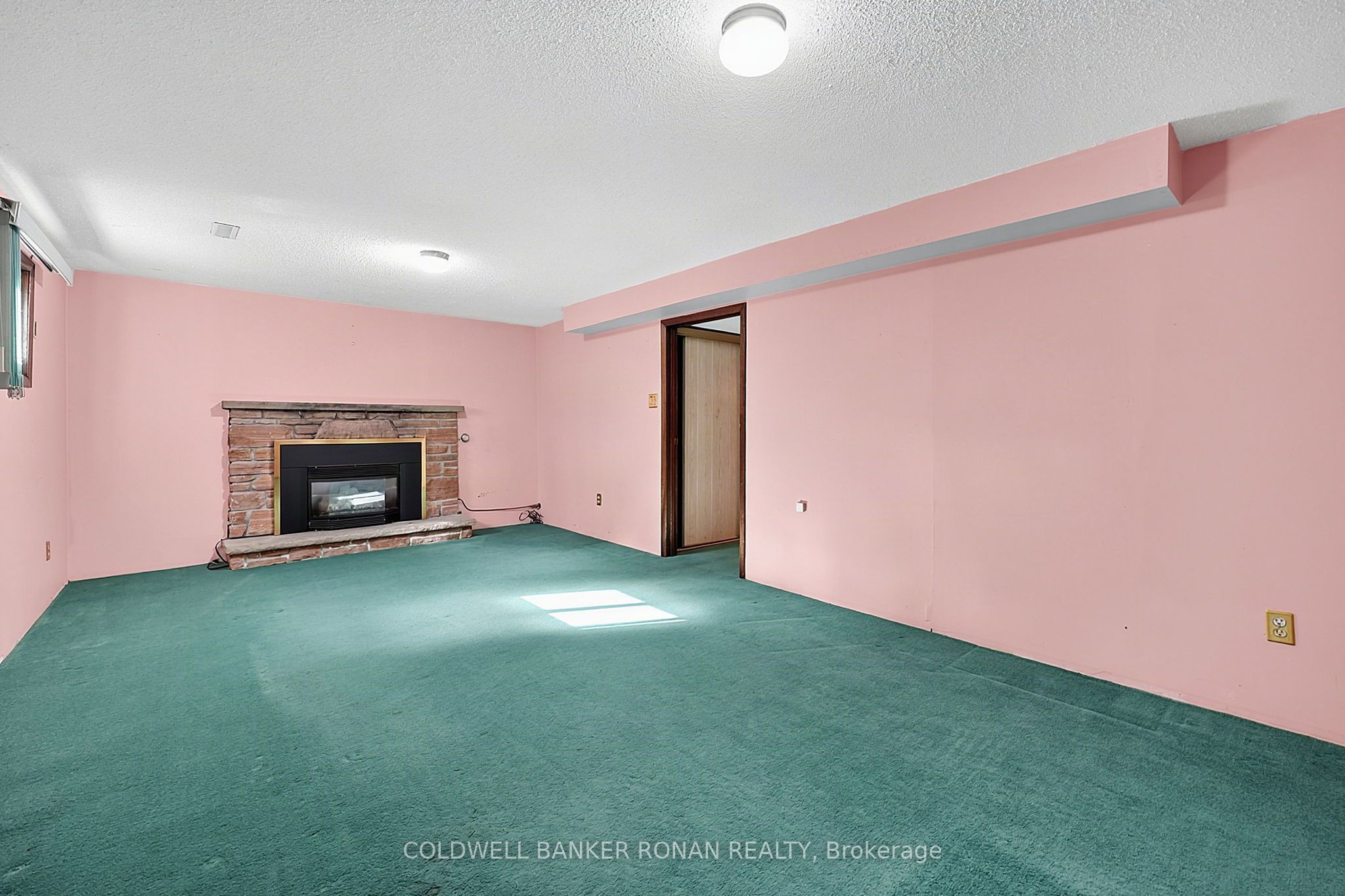 43 Alexander Street Property Photo 23
