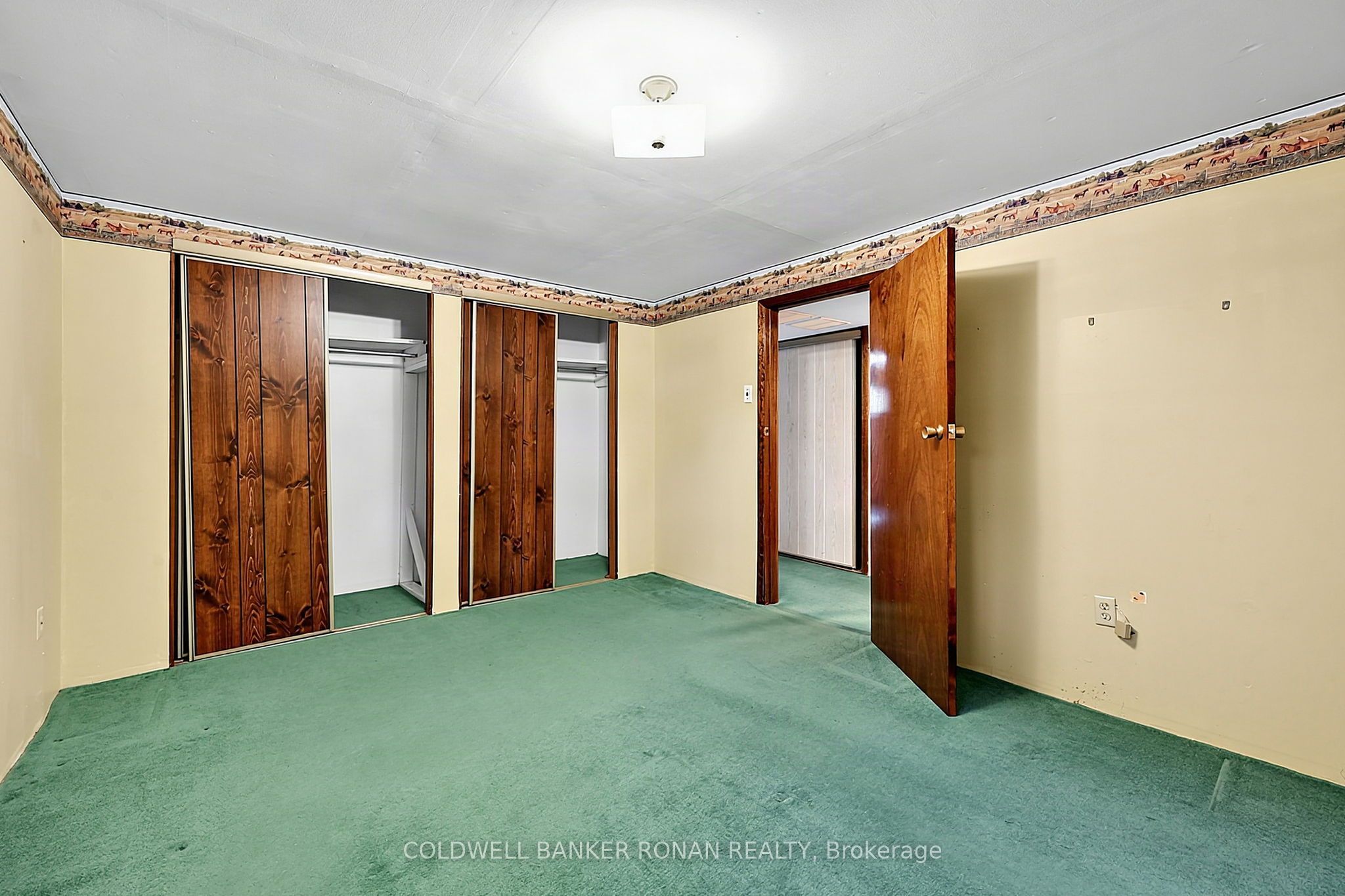 43 Alexander Street Property Photo 25