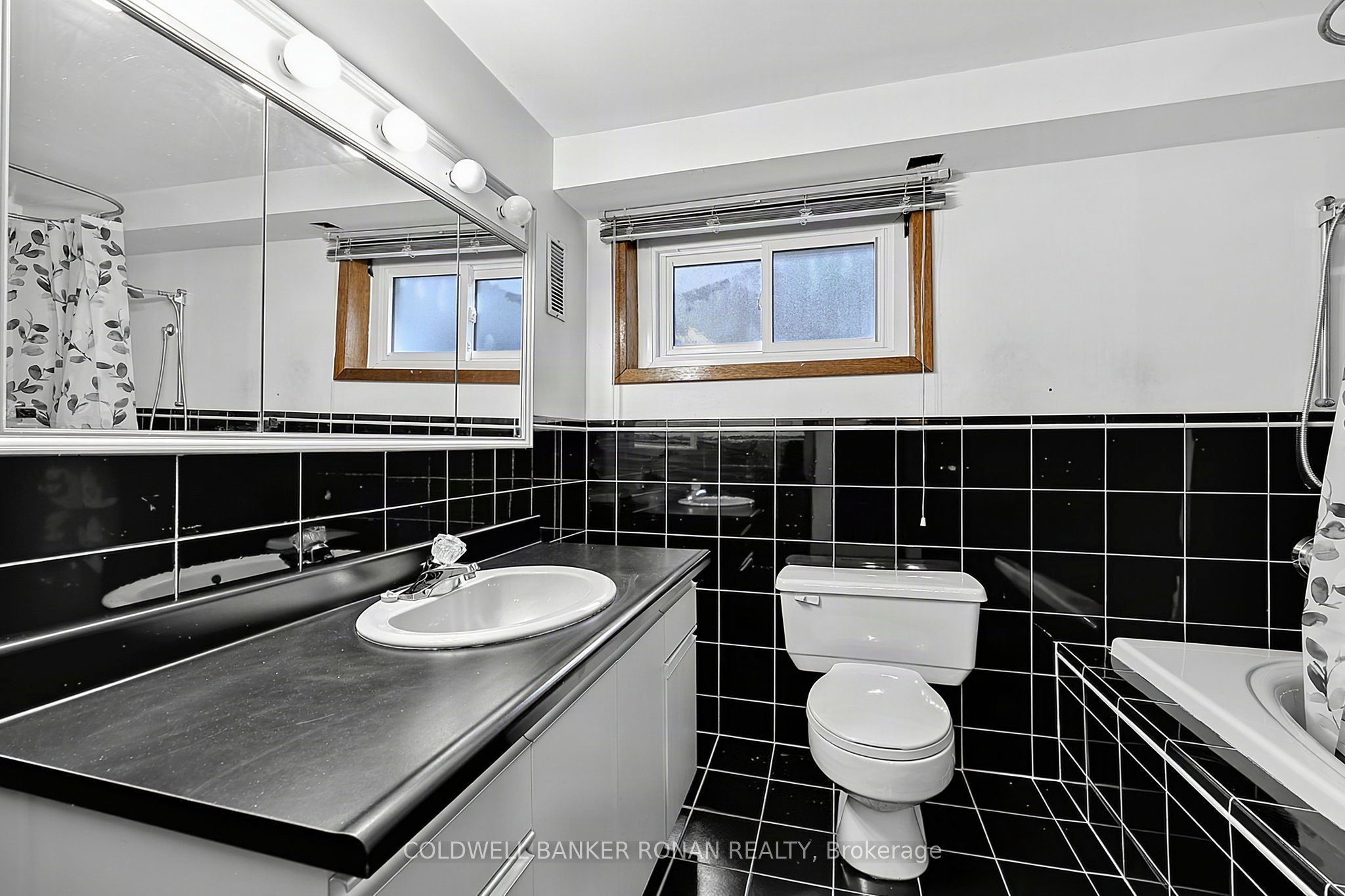 43 Alexander Street Property Photo 26