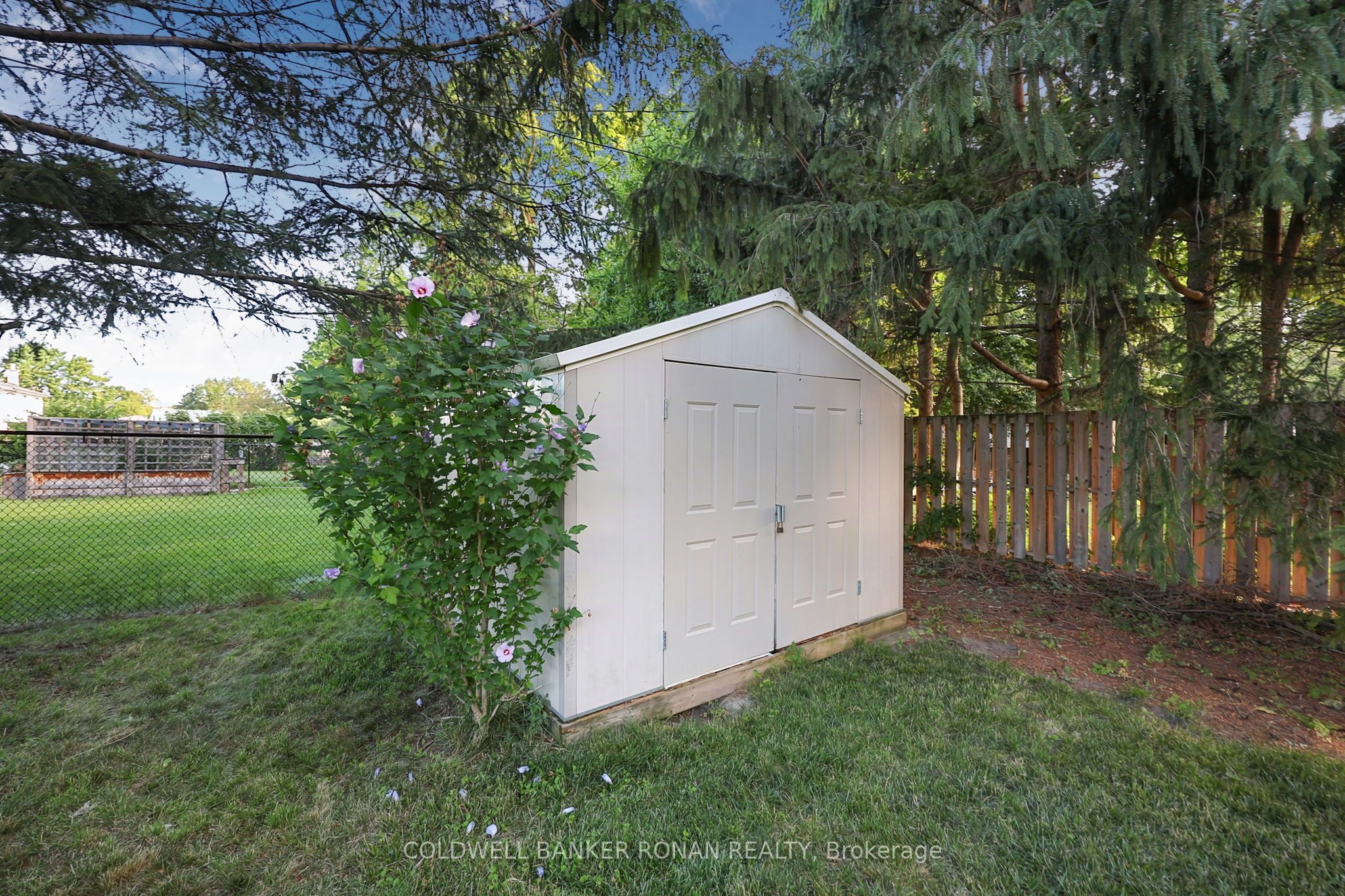 43 Alexander Street Property Photo 35