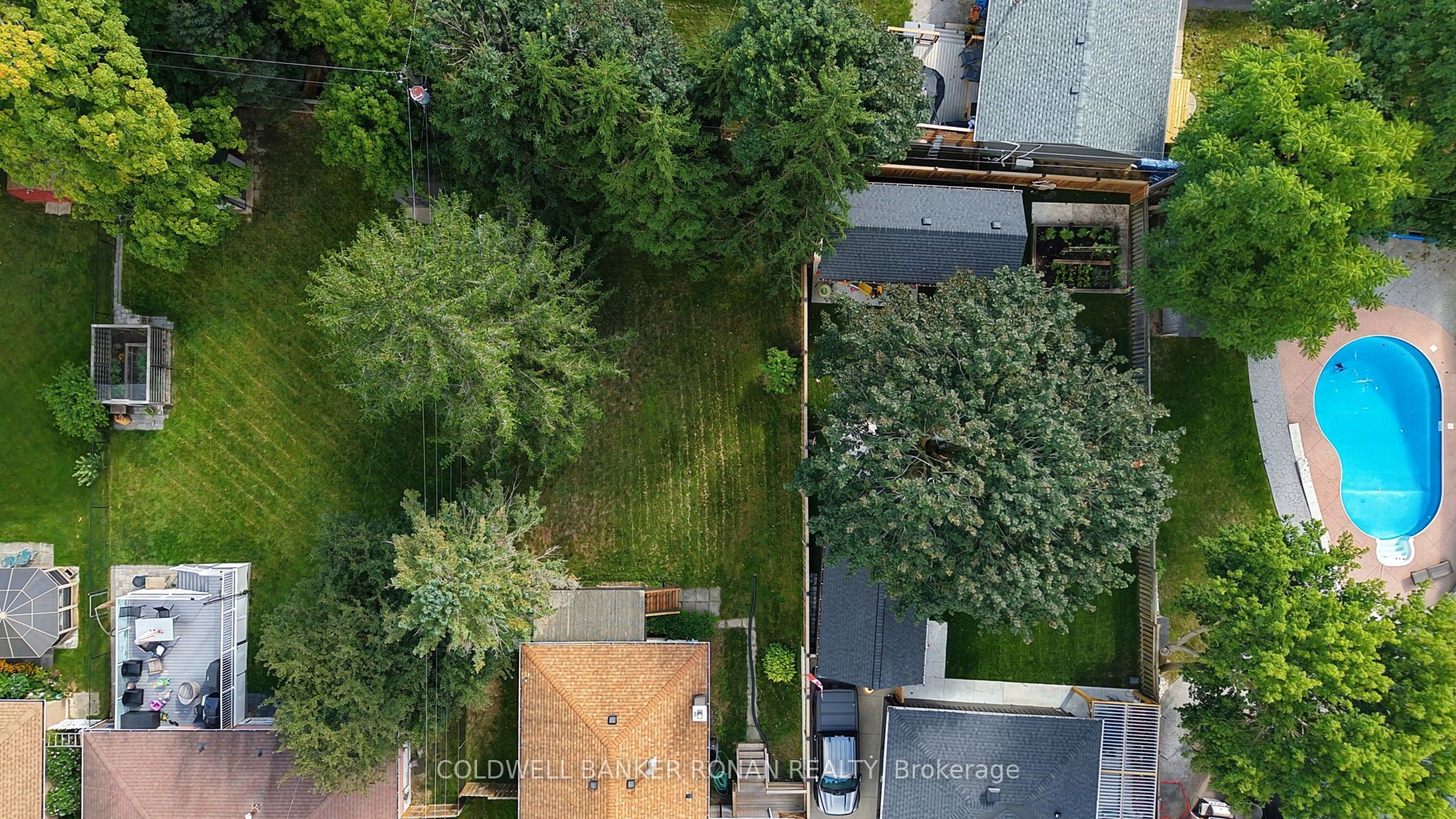 43 Alexander Street Property Photo 40
