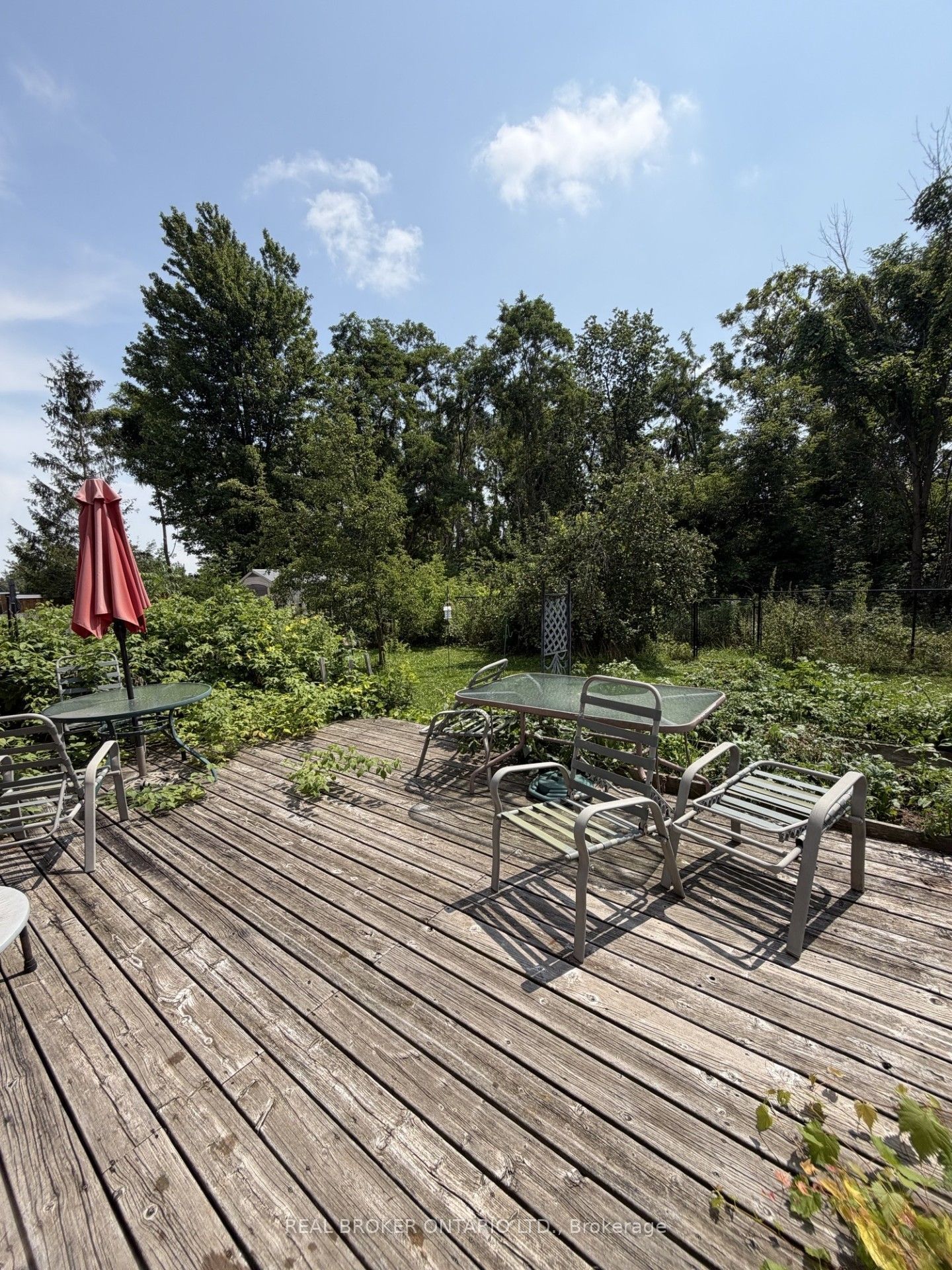 205 Cedar Beach Road Upper Property Photo 15