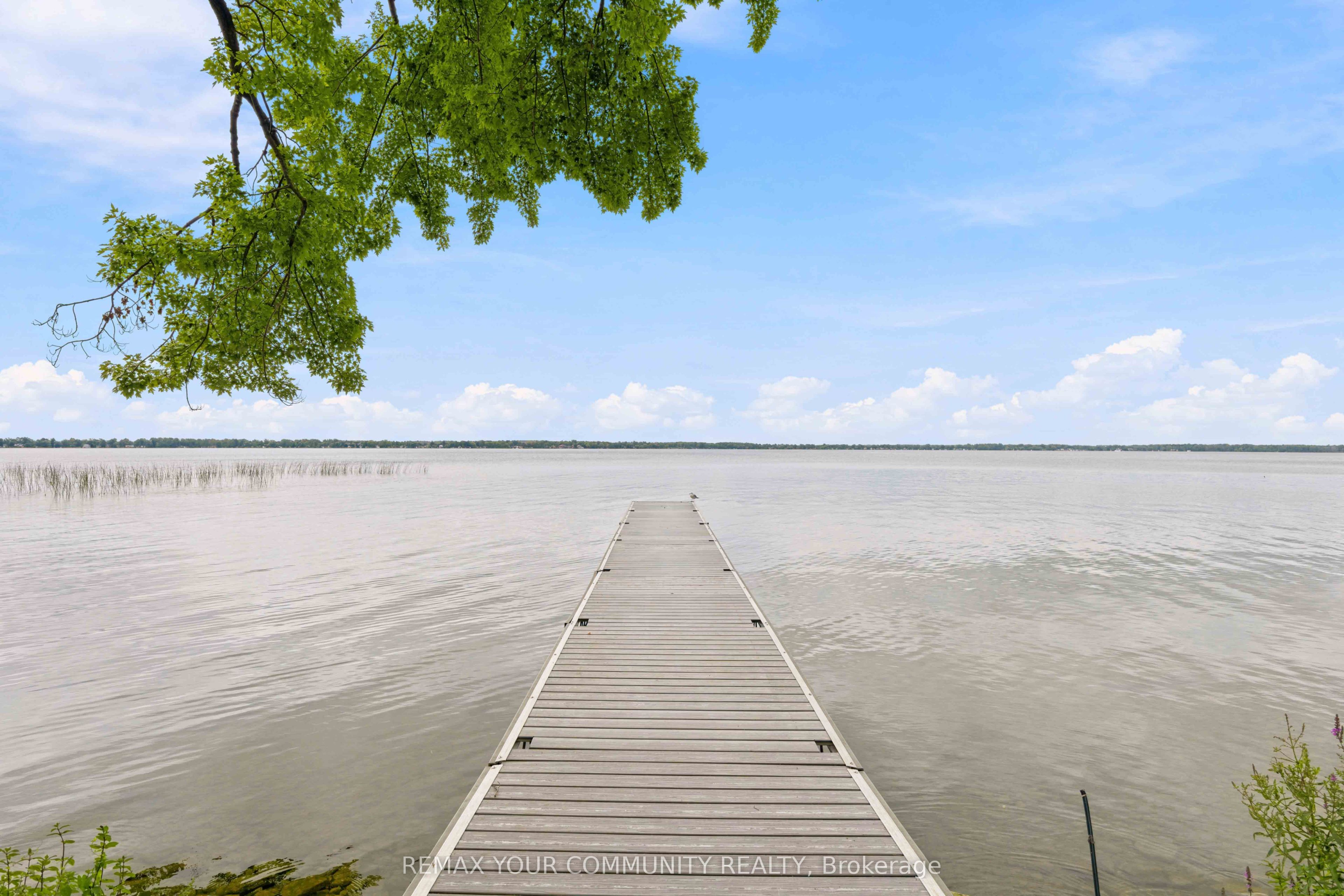 386 Bear Road Property Photo 46