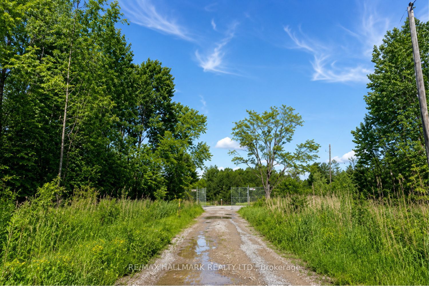 21576 Mccowan Road Property Photo 2