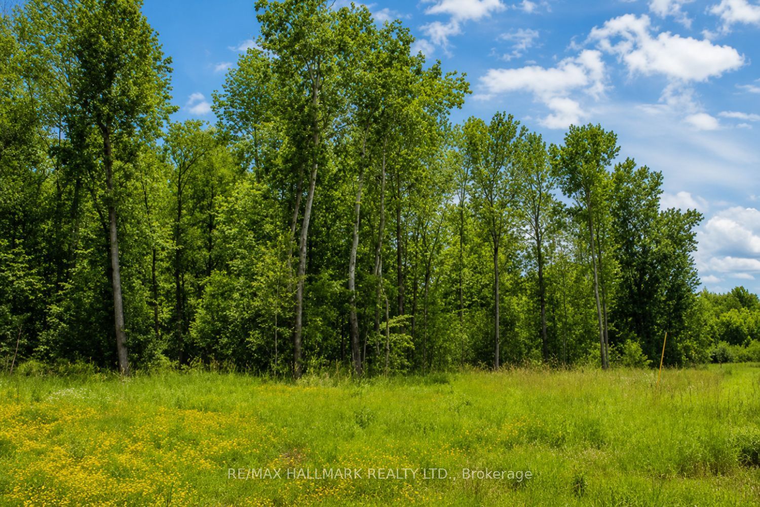 21576 Mccowan Road Property Photo 3