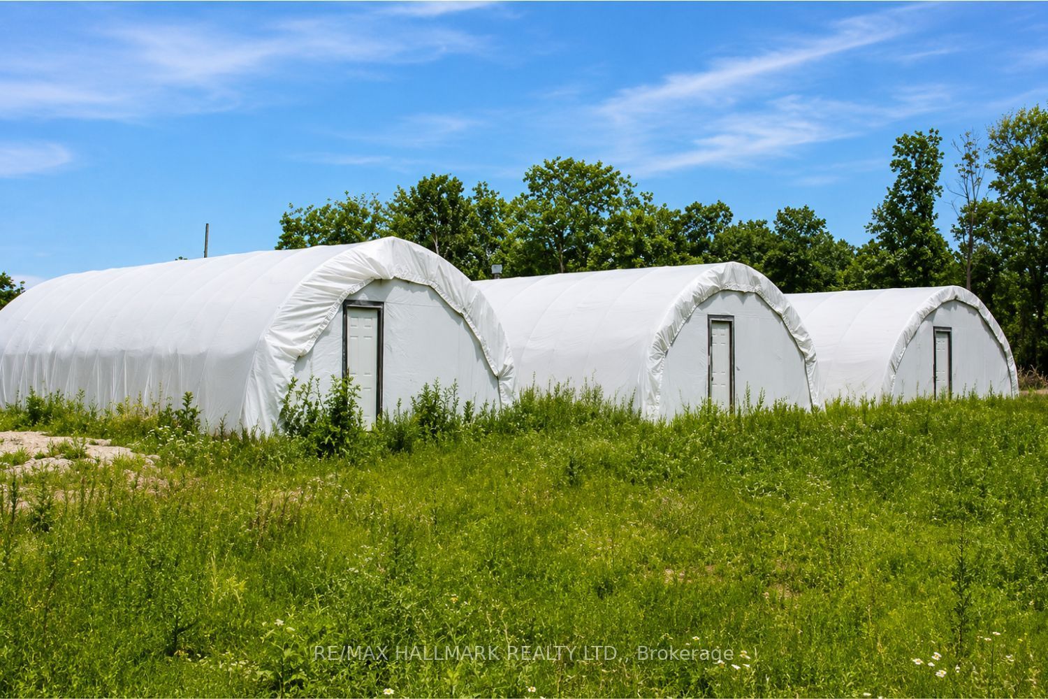 21576 Mccowan Road Property Photo 4
