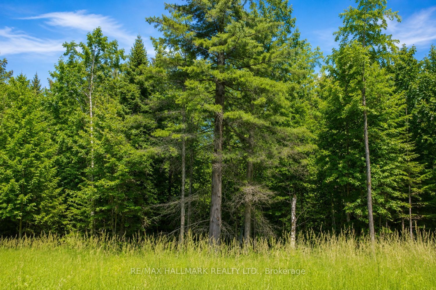 21576 Mccowan Road Property Photo 5