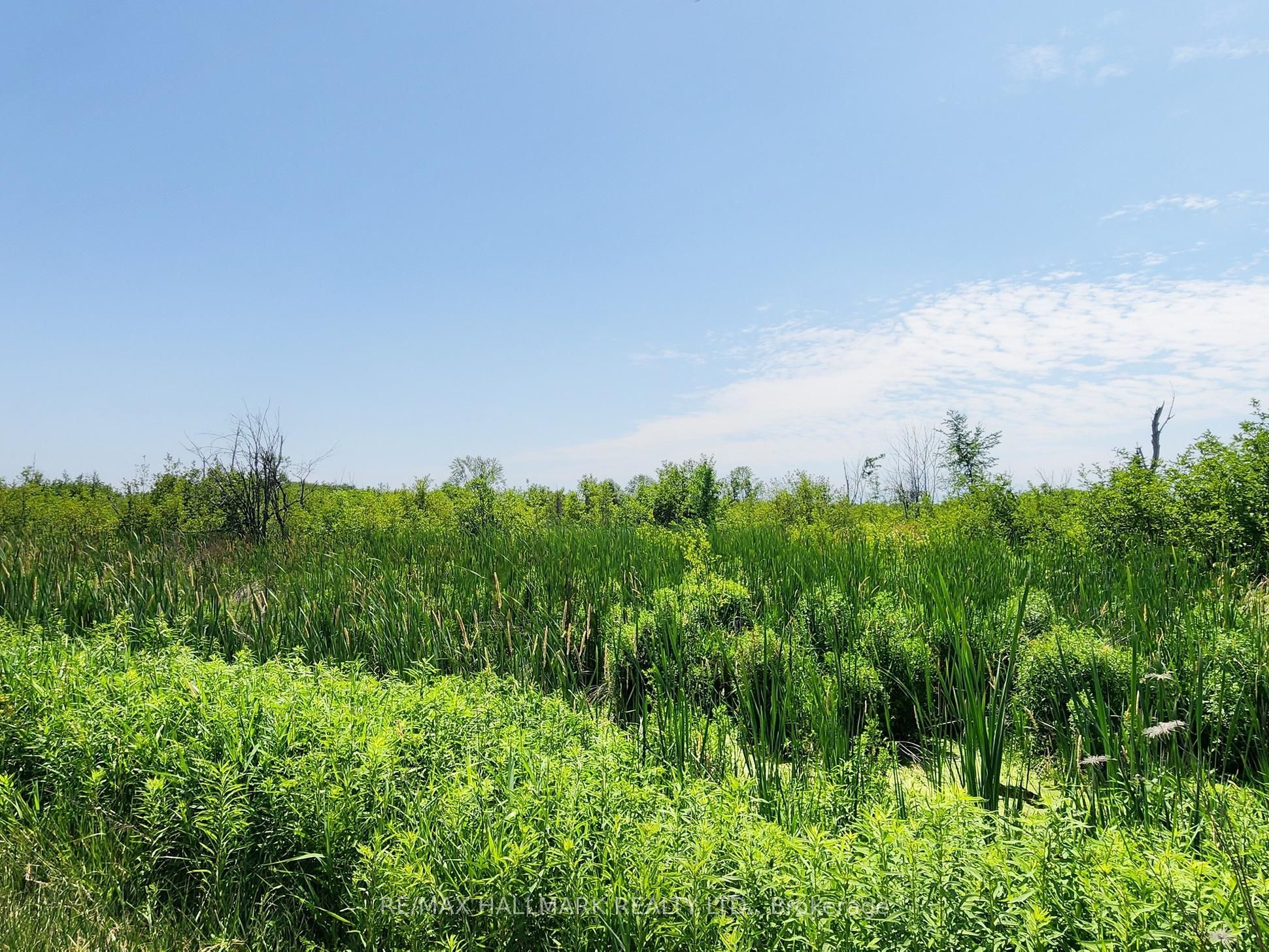 20200 Highway 48 Property Photo 1