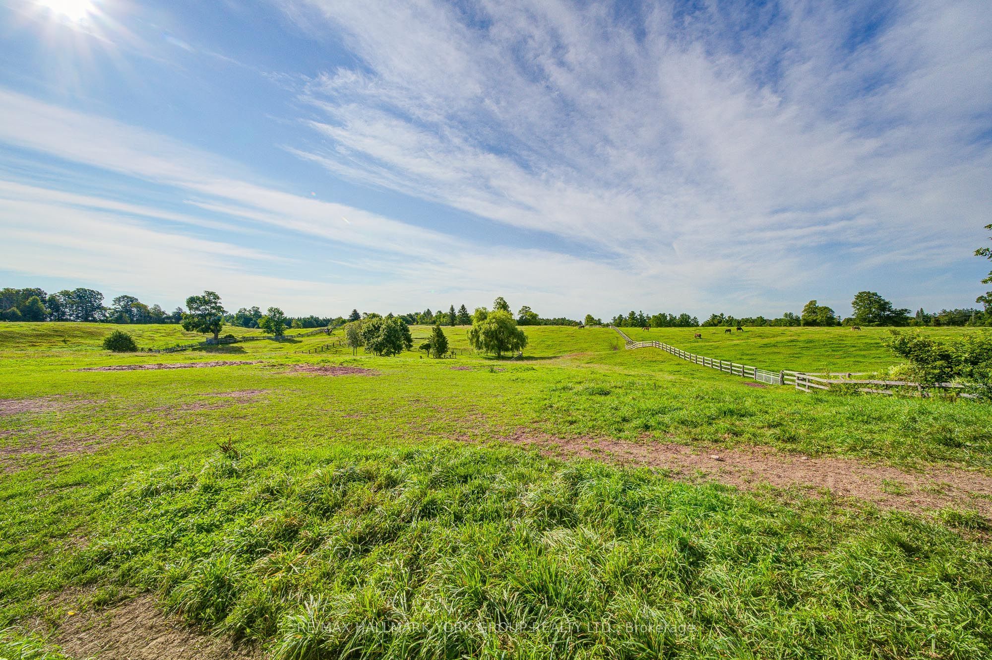 16979 Ninth Line Property Photo 10