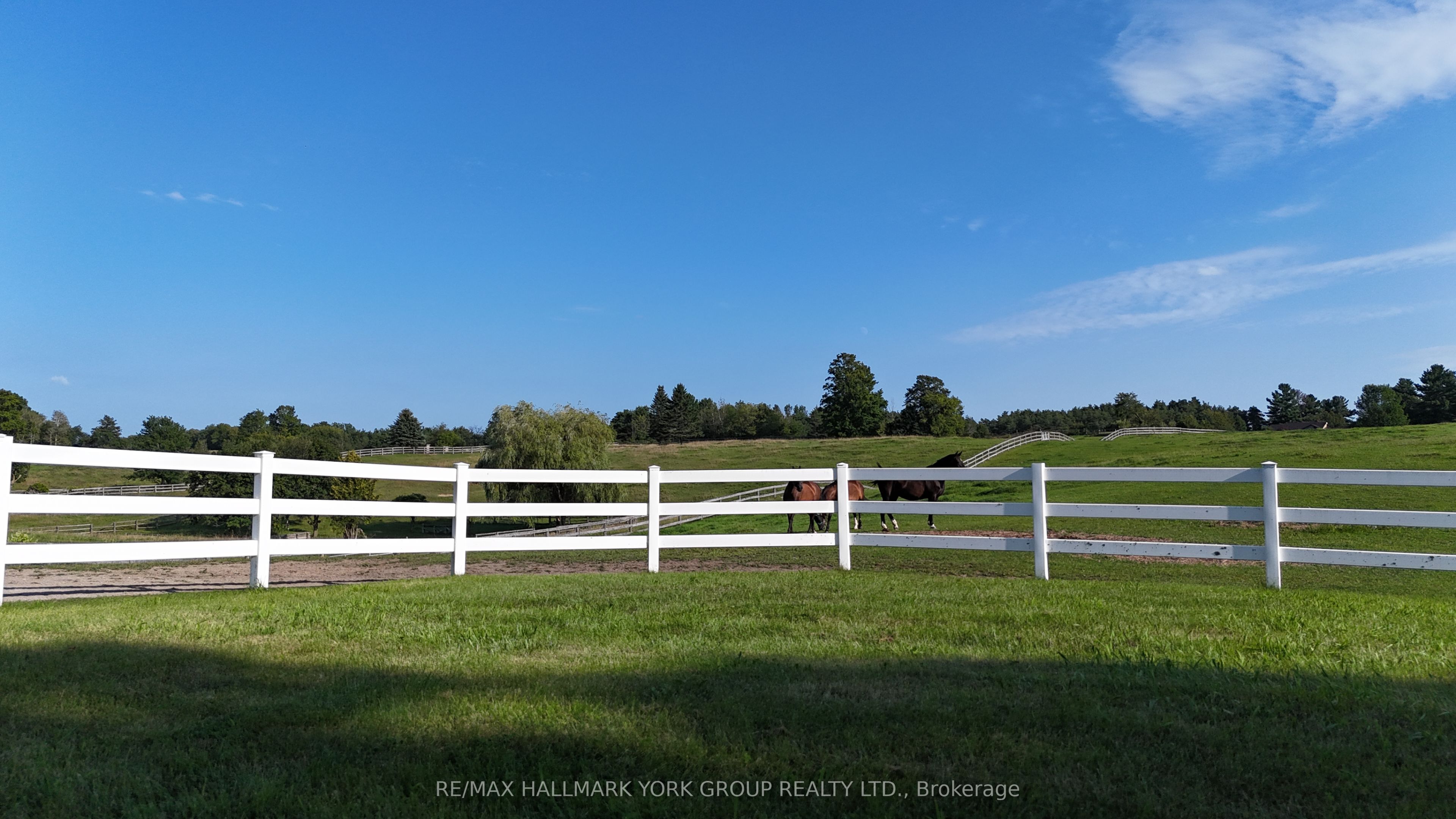 16979 Ninth Line Property Photo 47