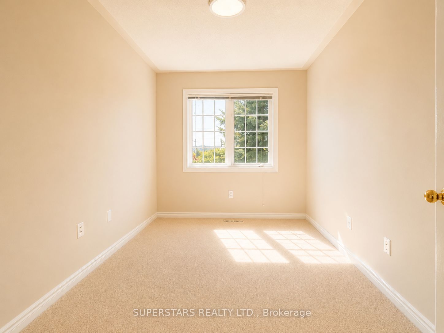 10 Post Oak Drive 18 Property Photo 14