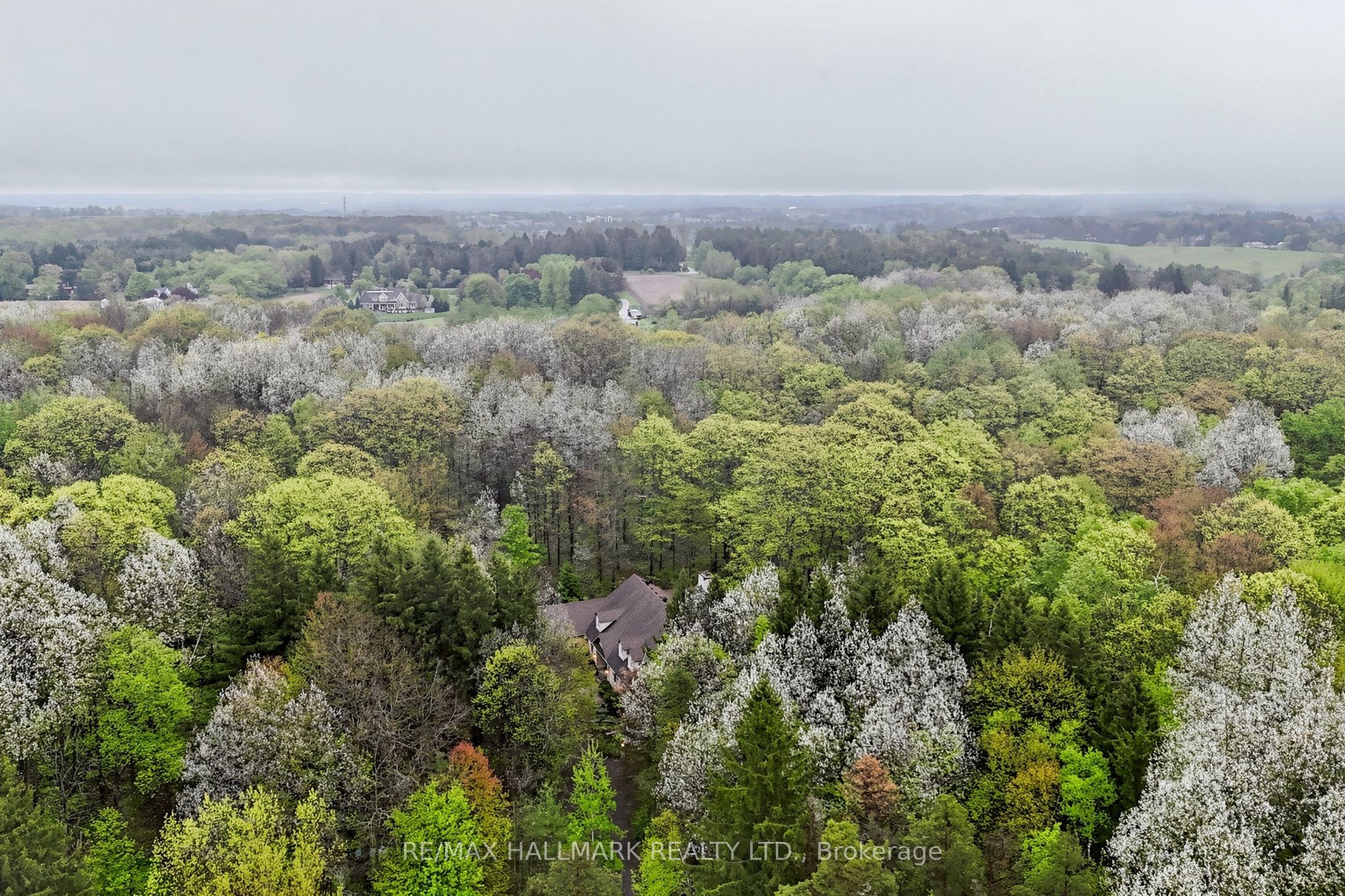 95 Fog Road Property Photo 2