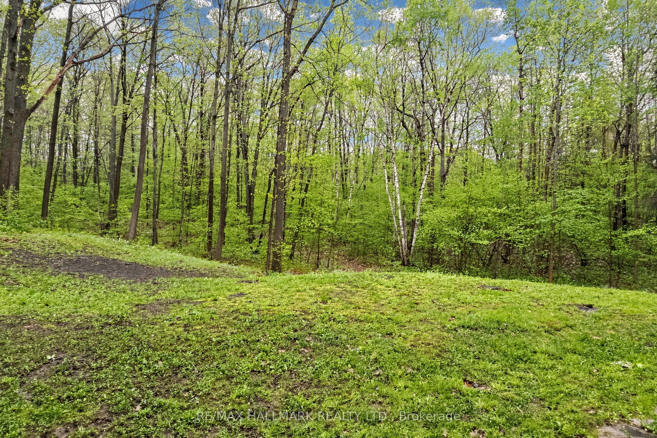 95 Fog Road Property Photo 47