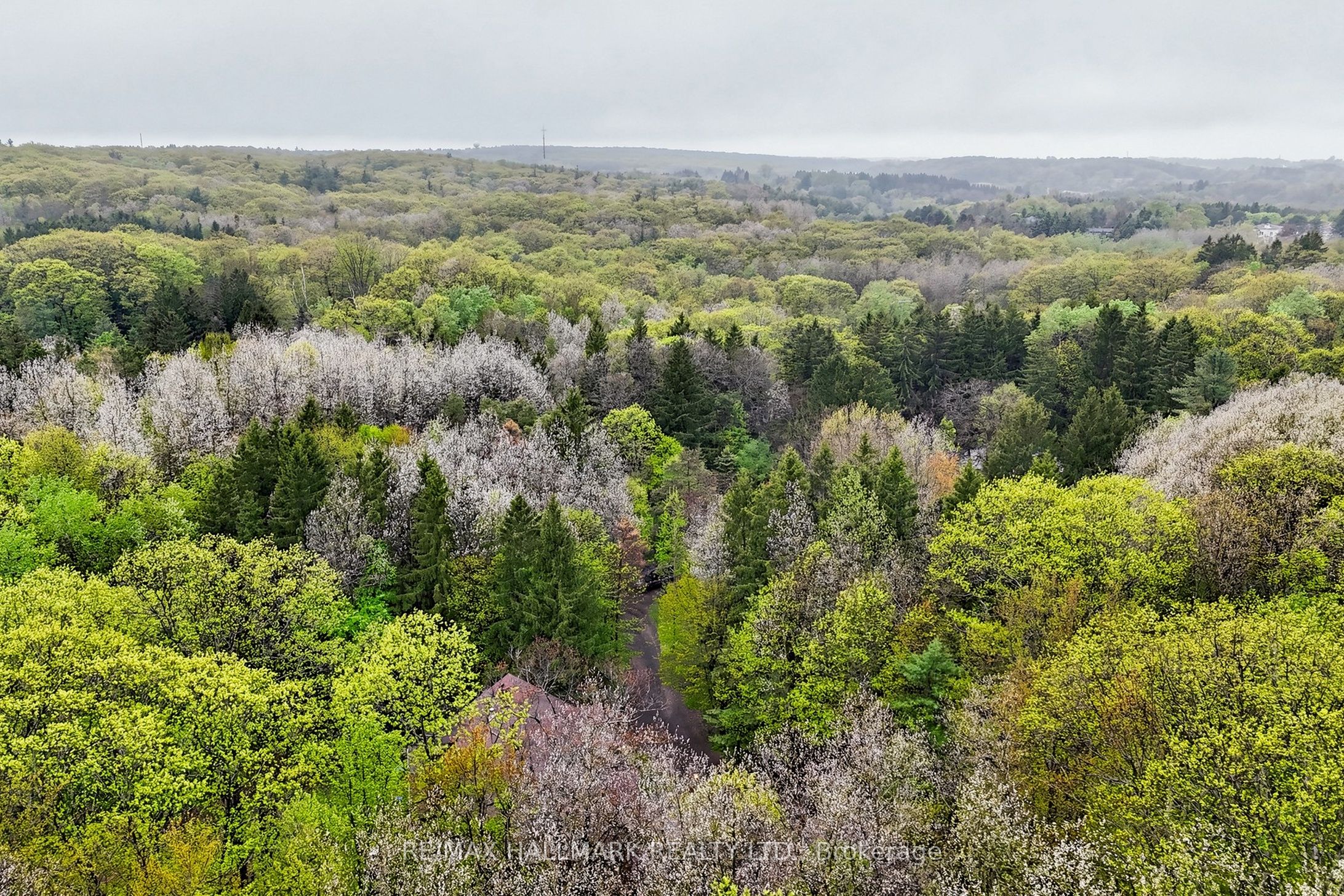 95 Fog Road Property Photo 50